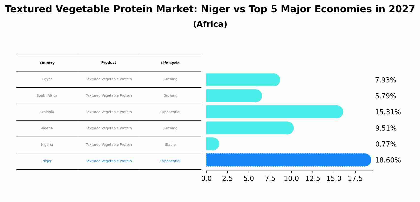 Textured Vegetable Protein Market: Niger vs Top 5 Major Economies in 2027 (Africa)