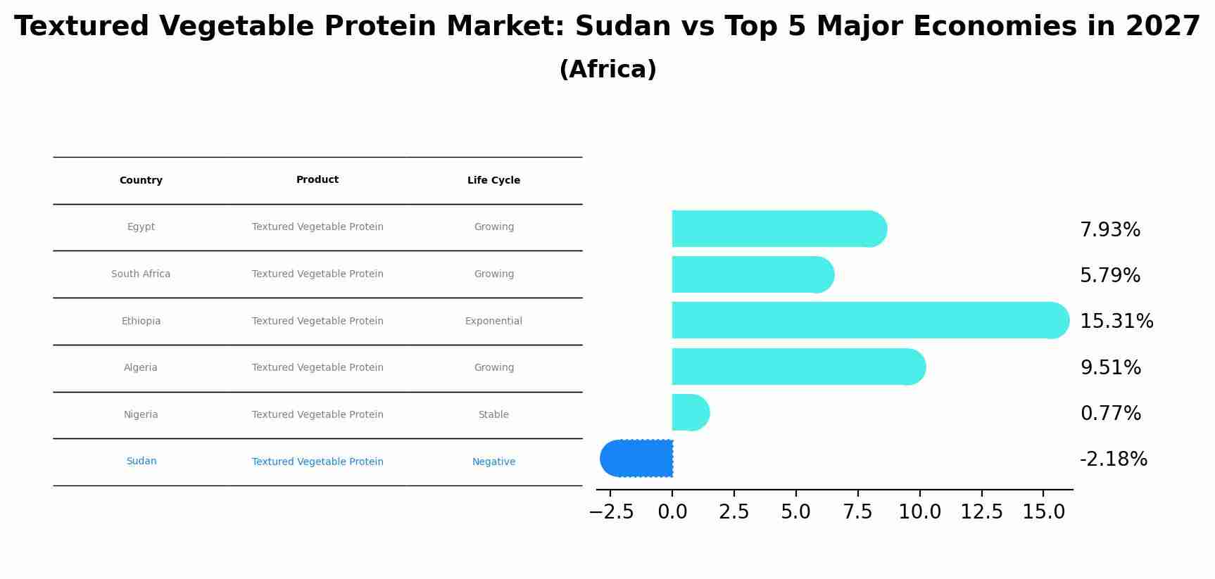 Textured Vegetable Protein Market: Sudan vs Top 5 Major Economies in 2027 (Africa)