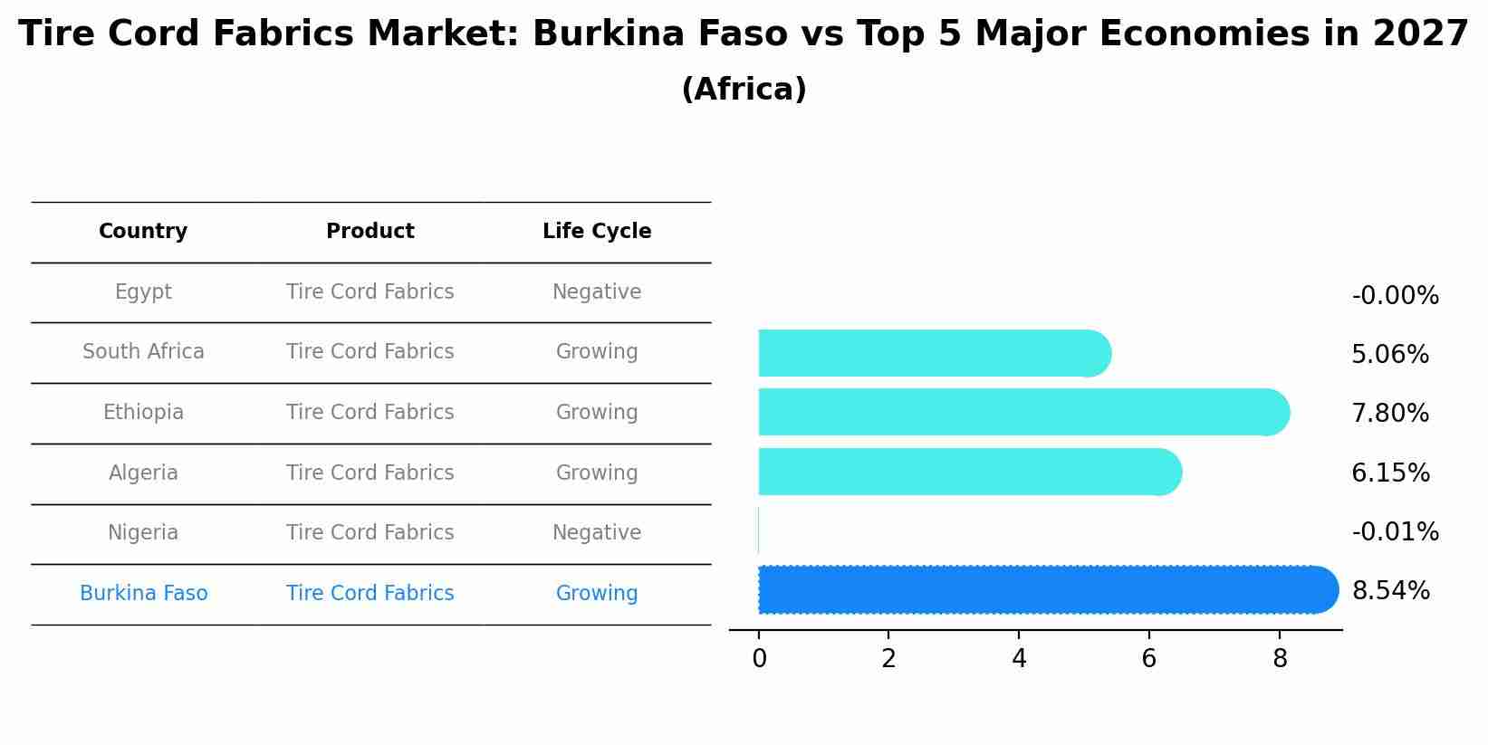 Tire Cord Fabrics Market: Burkina Faso vs Top 5 Major Economies in 2027 (Africa)