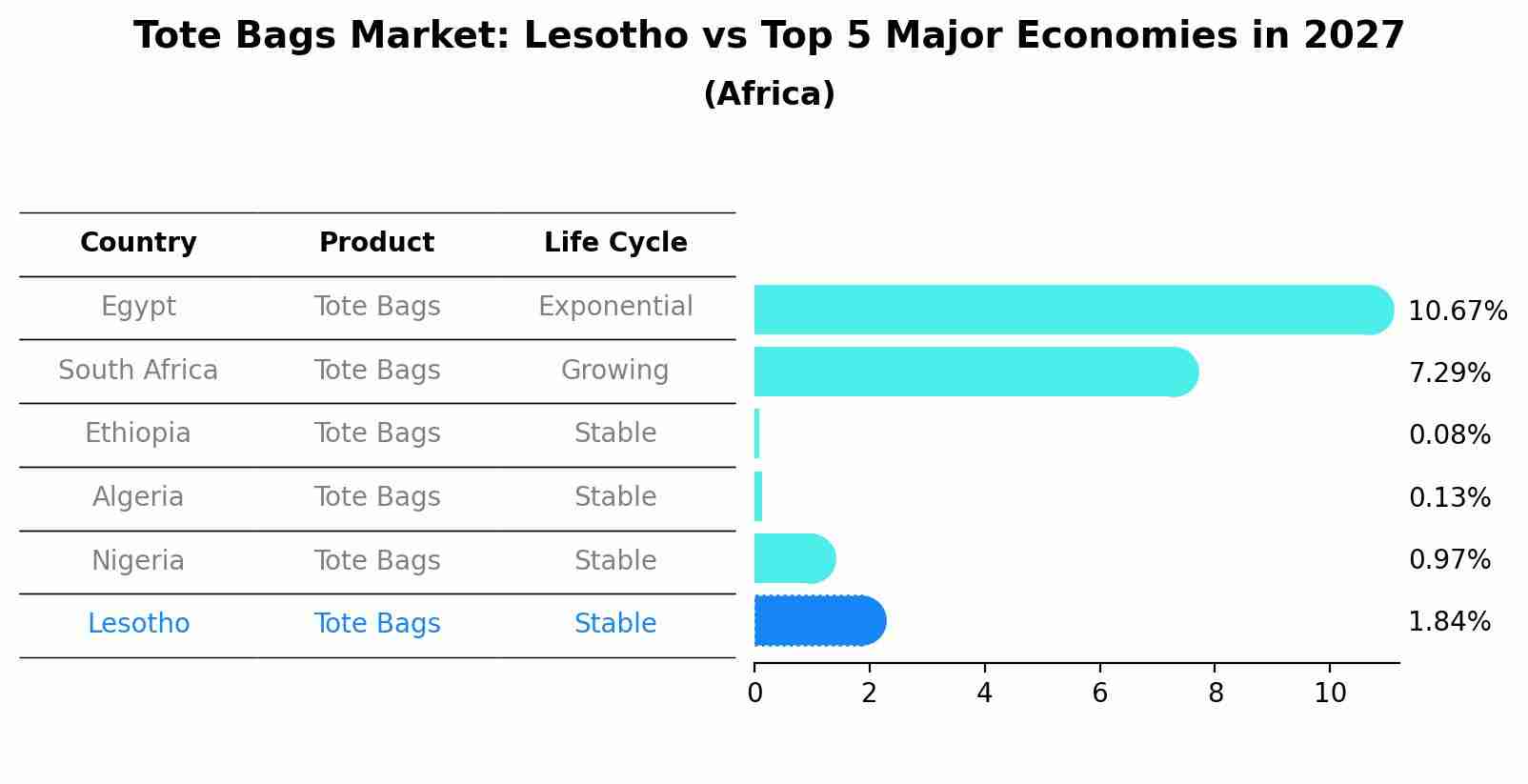 Tote Bags Market: Lesotho vs Top 5 Major Economies in 2027 (Africa)