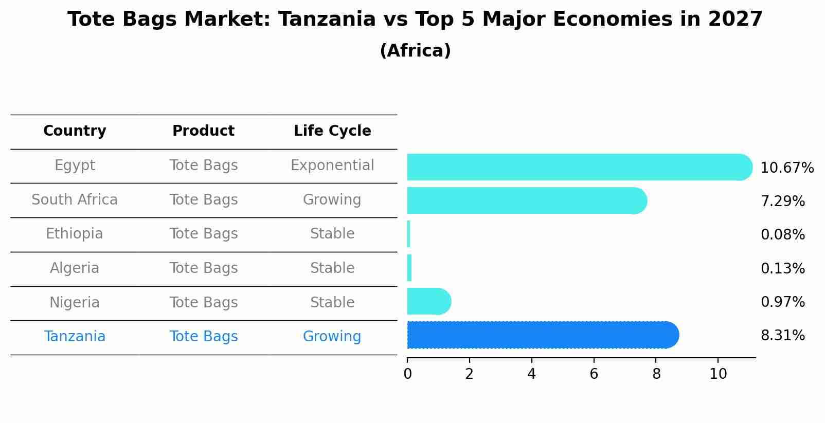Tote Bags Market: Tanzania vs Top 5 Major Economies in 2027 (Africa)