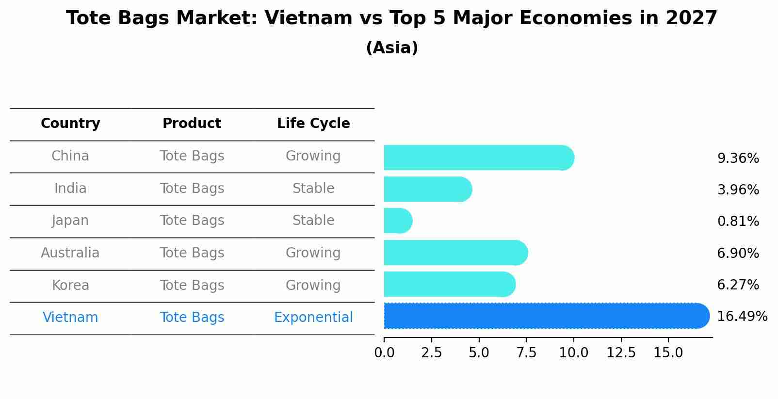 Tote Bags Market: Vietnam vs Top 5 Major Economies in 2027 (Asia)