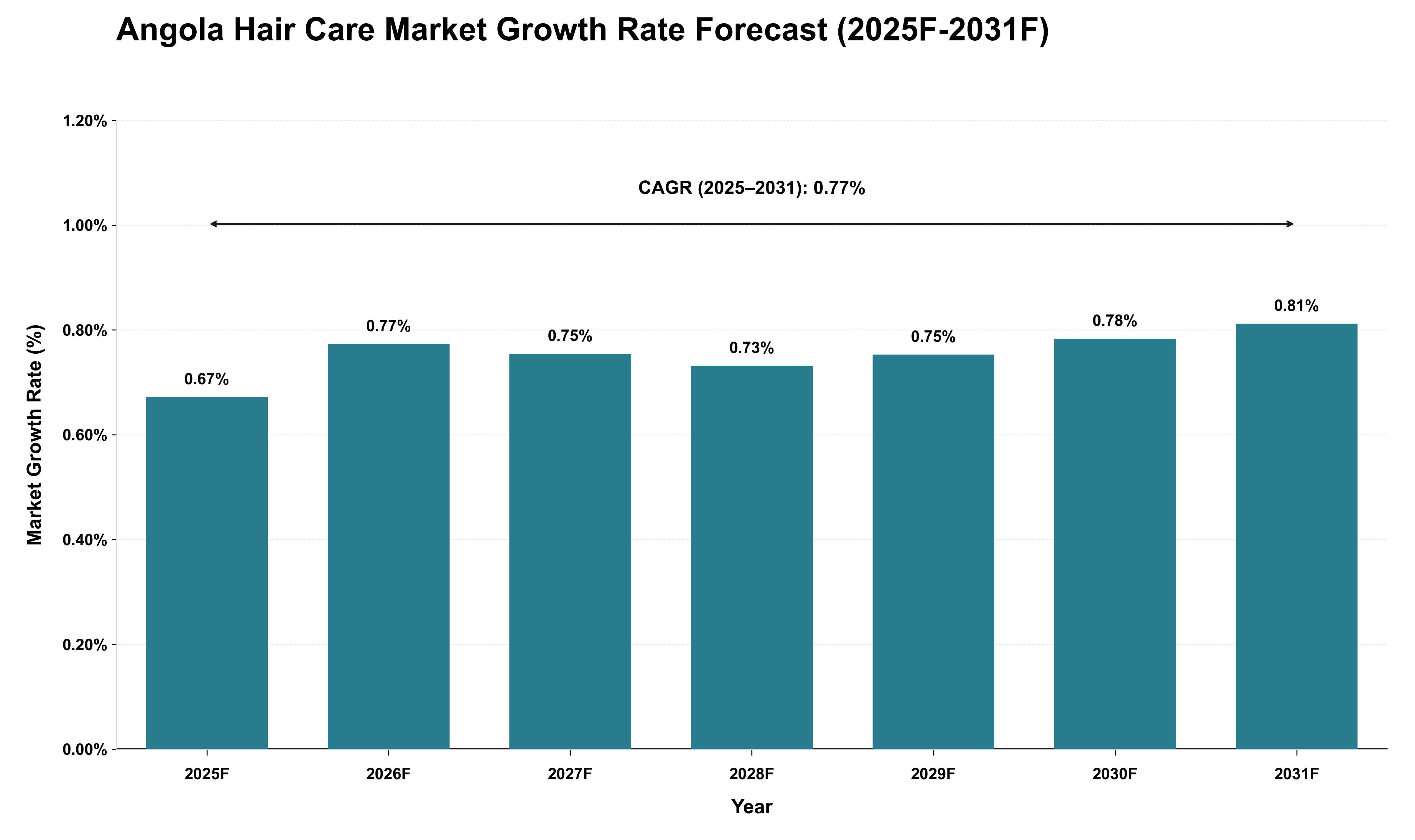 Angola Hair Care Market Growth Rate Analysis (2025 - 2031)