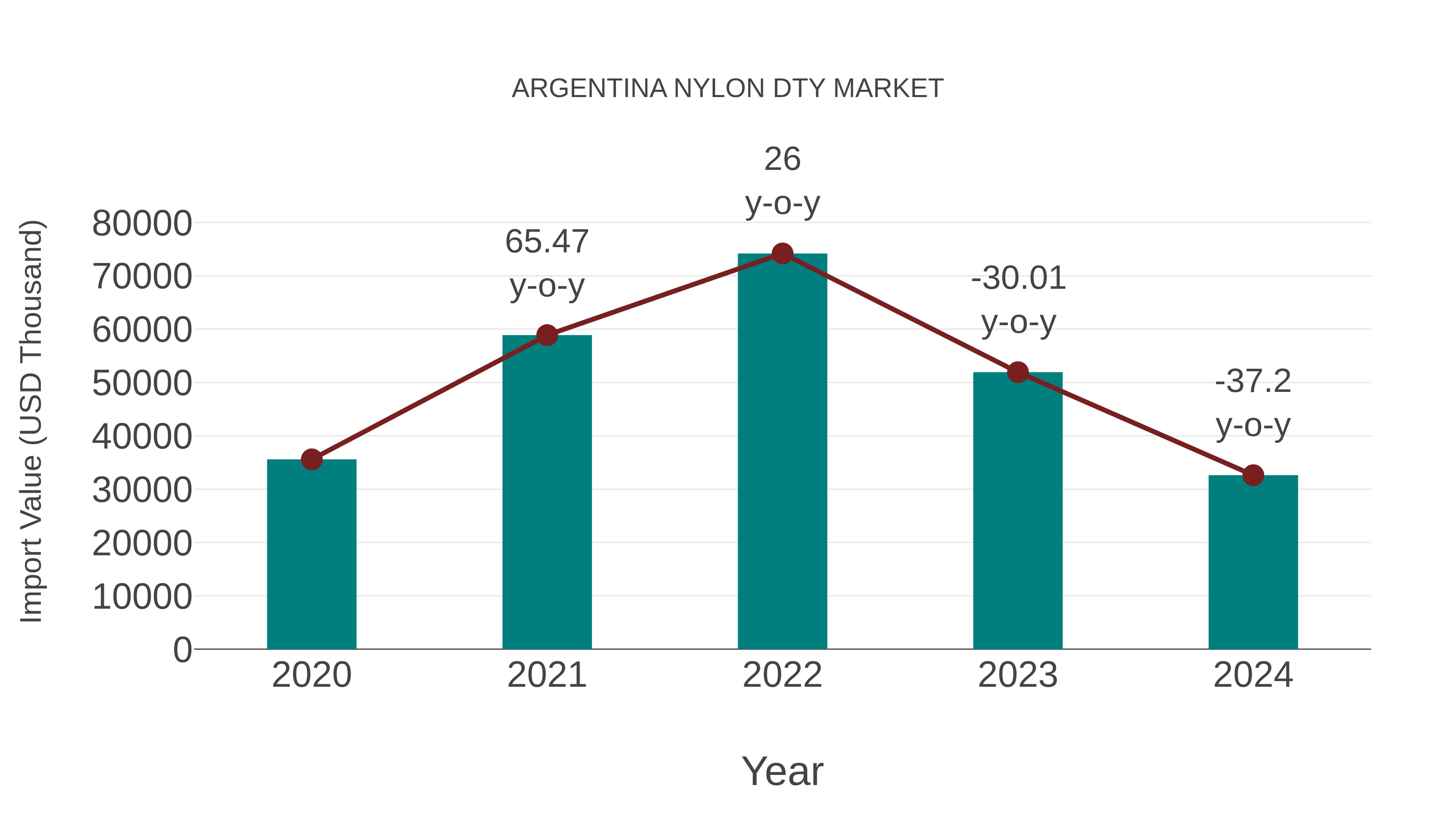  Argentina Nylon Dty Market: Import Trend Analysis