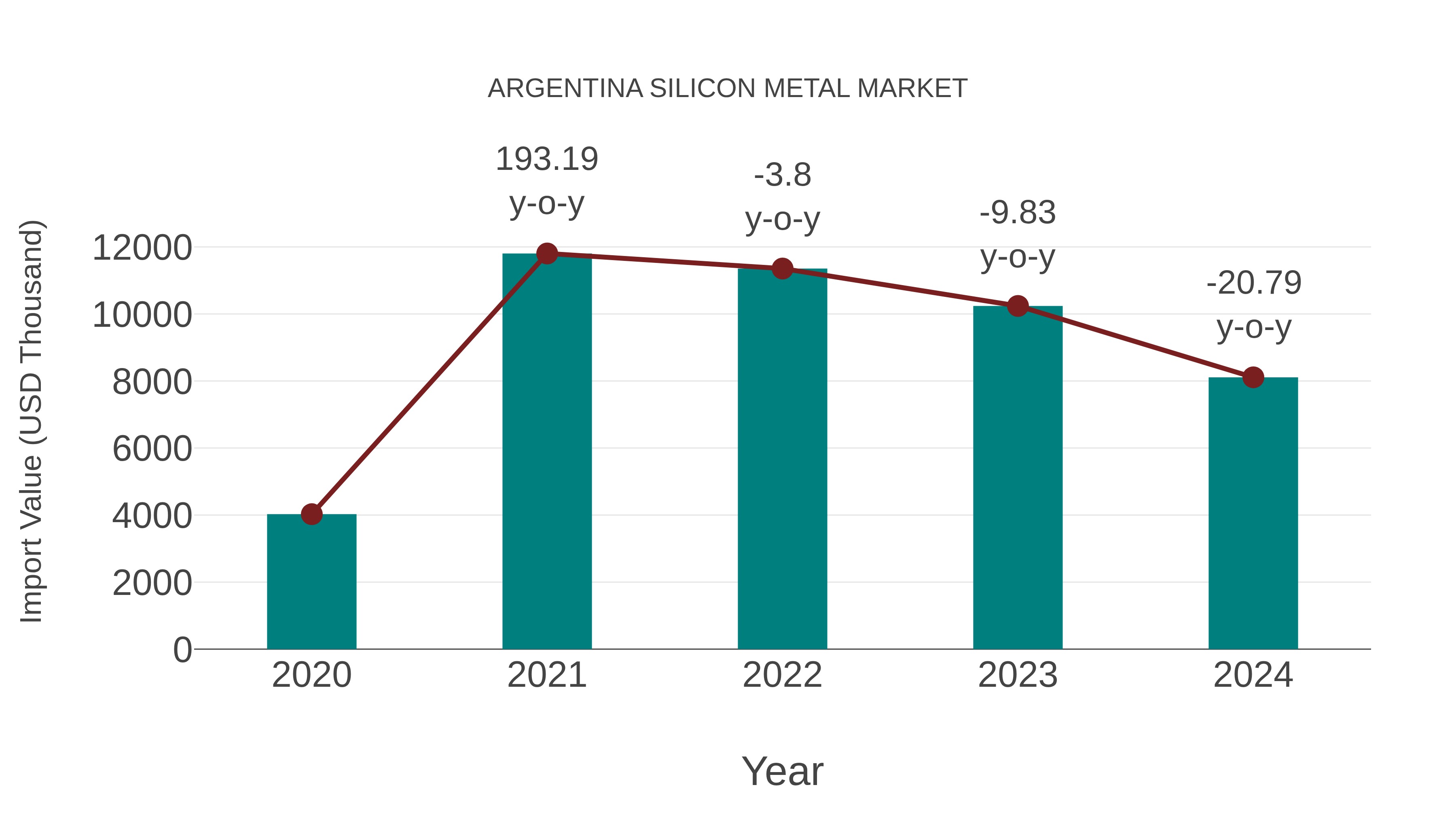  Argentina Silicon Metal Market: Import Trend Analysis