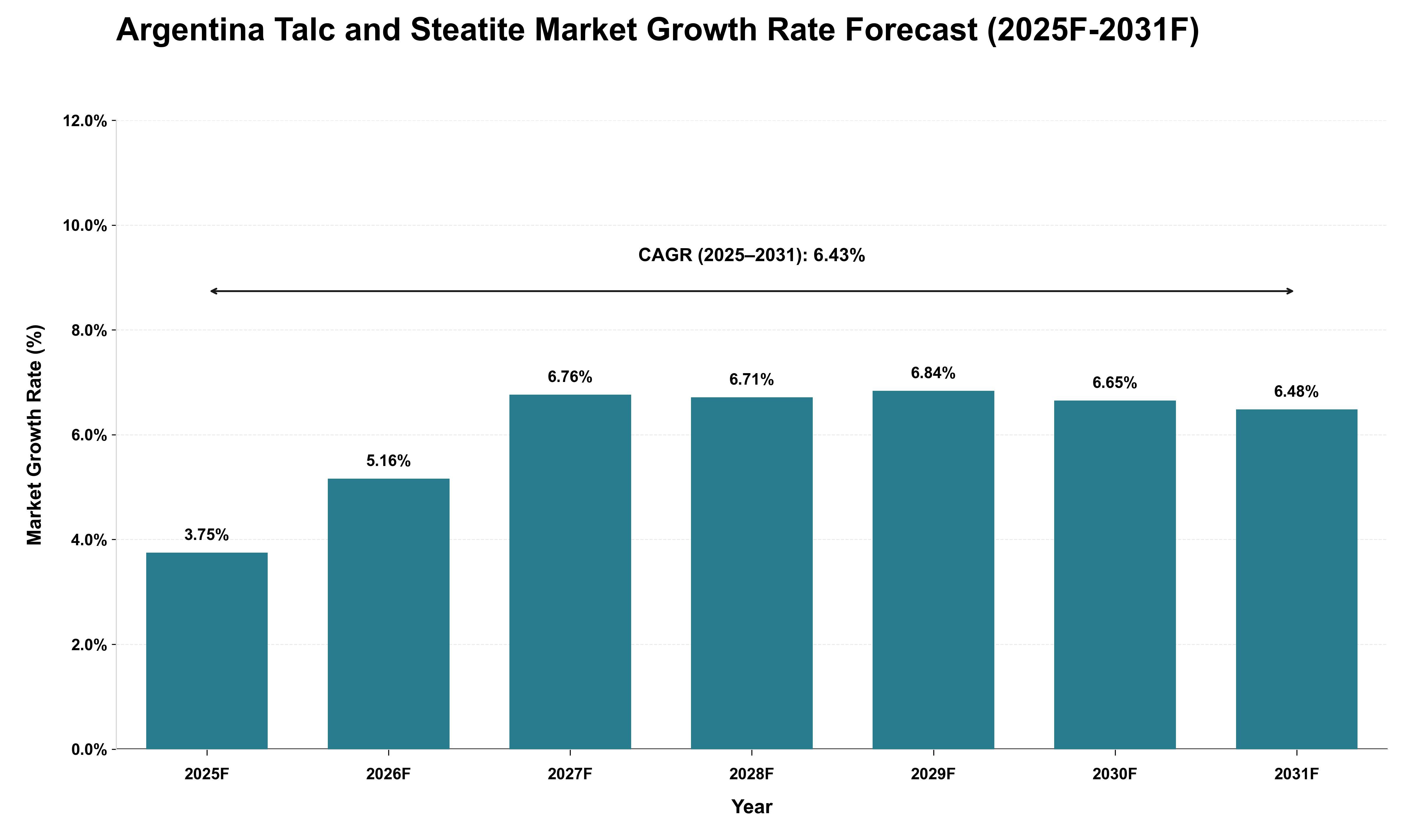 Argentina Talc and Steatite Market Growth Rate Analysis (2025 - 2031)