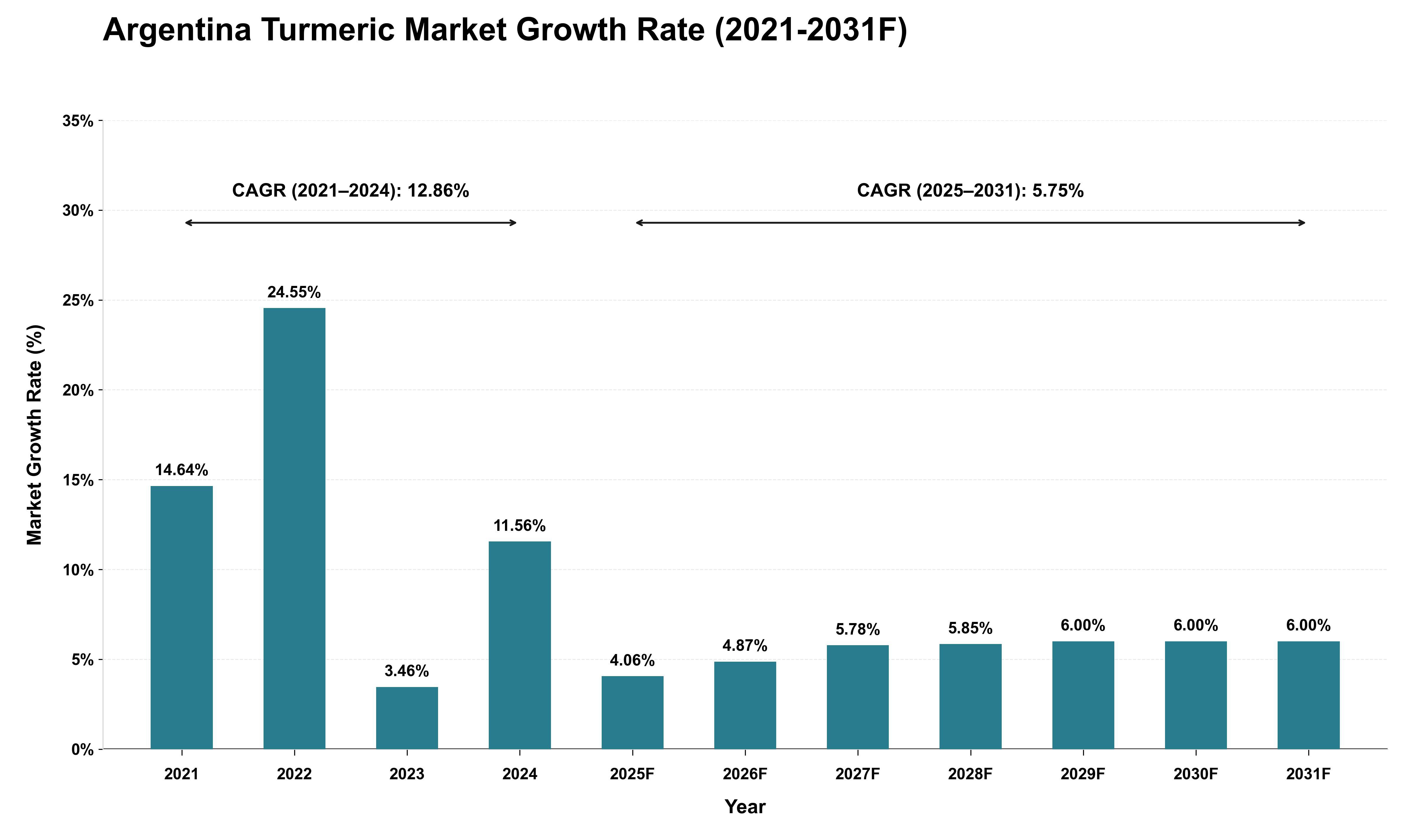Argentina Turmeric Market Growth Rate Analysis (2021 - 2031)