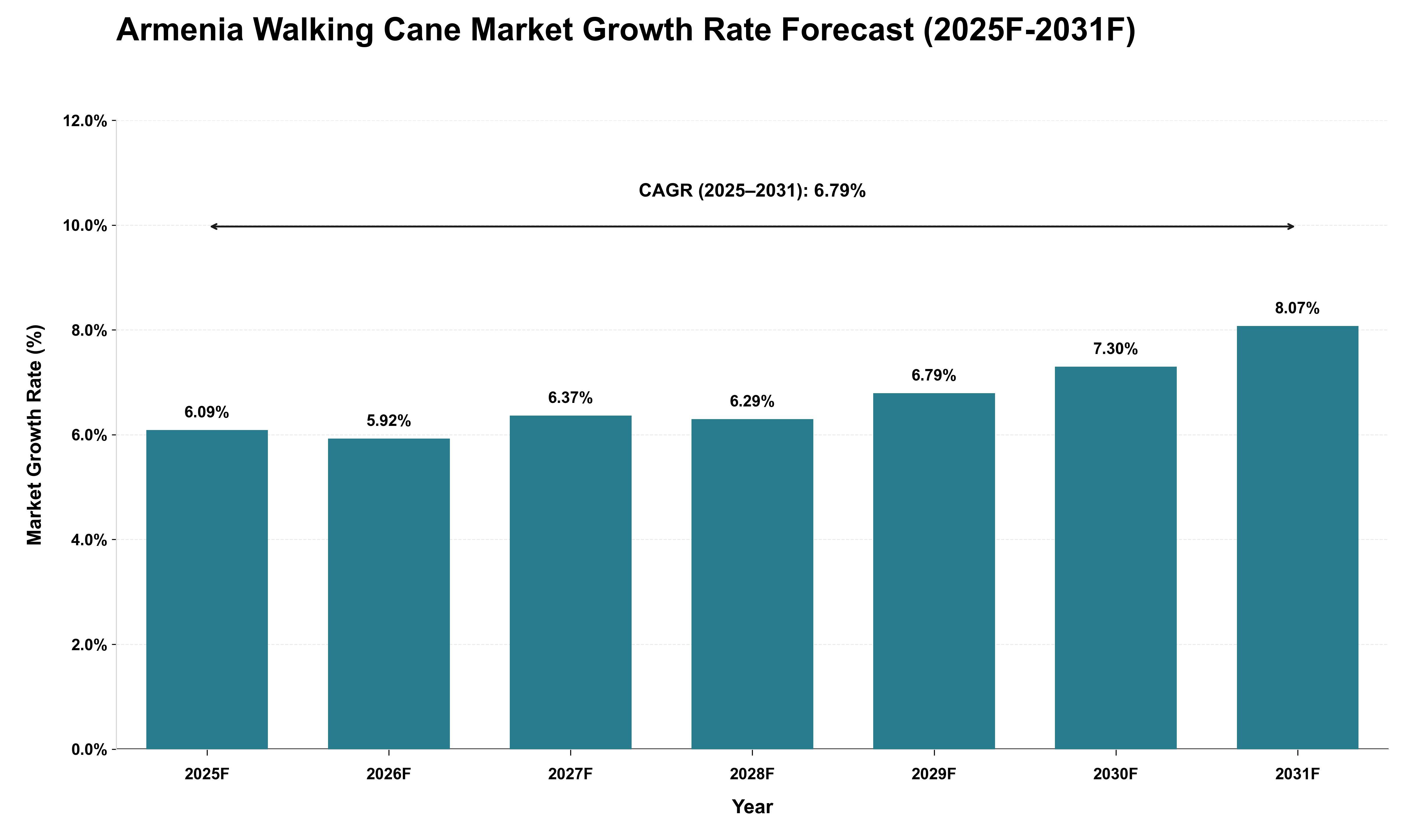 Armenia Walking Cane Market Growth Rate Analysis (2025 - 2031)