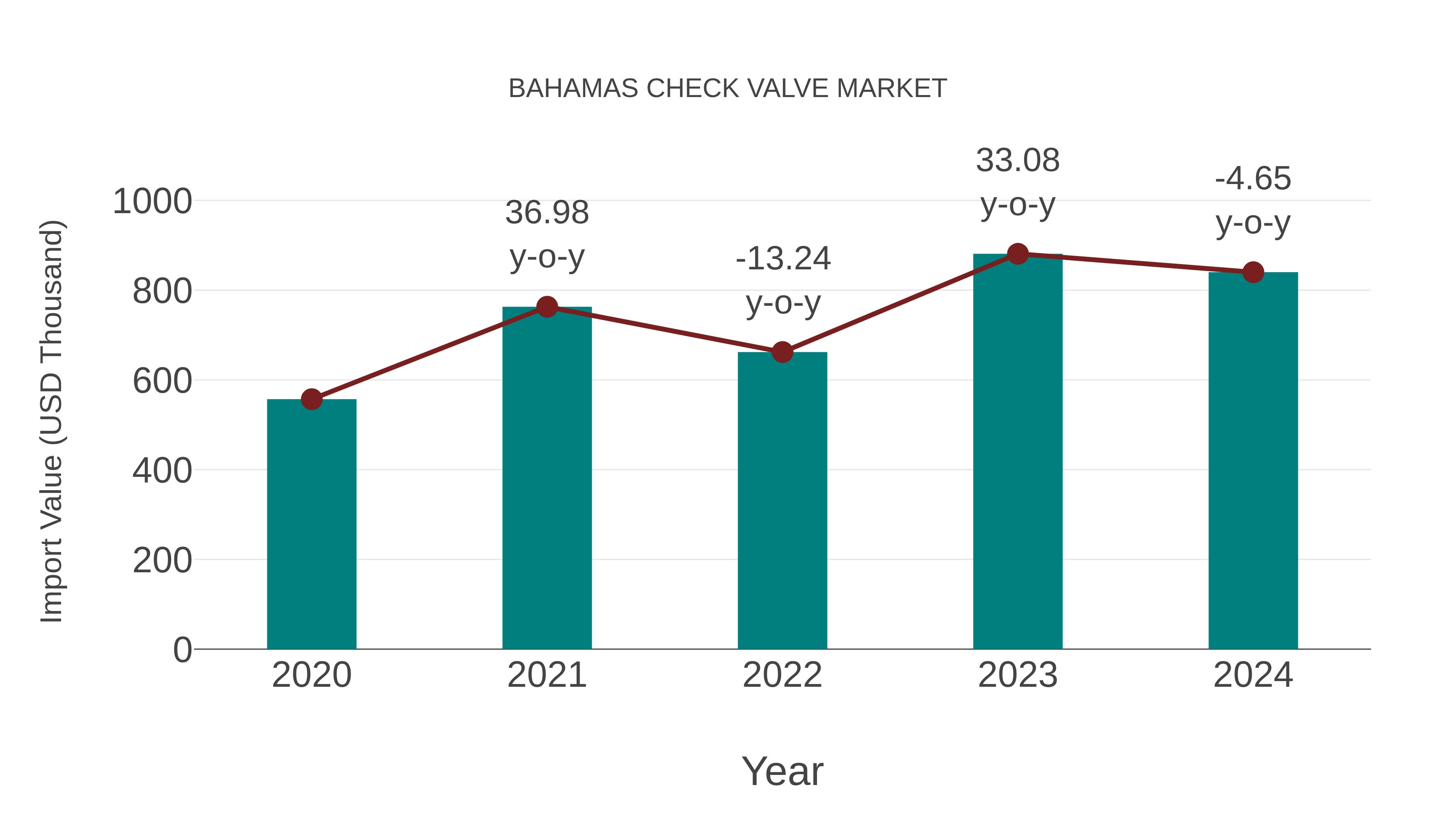  Bahamas Check Valve Market: Import Trend Analysis