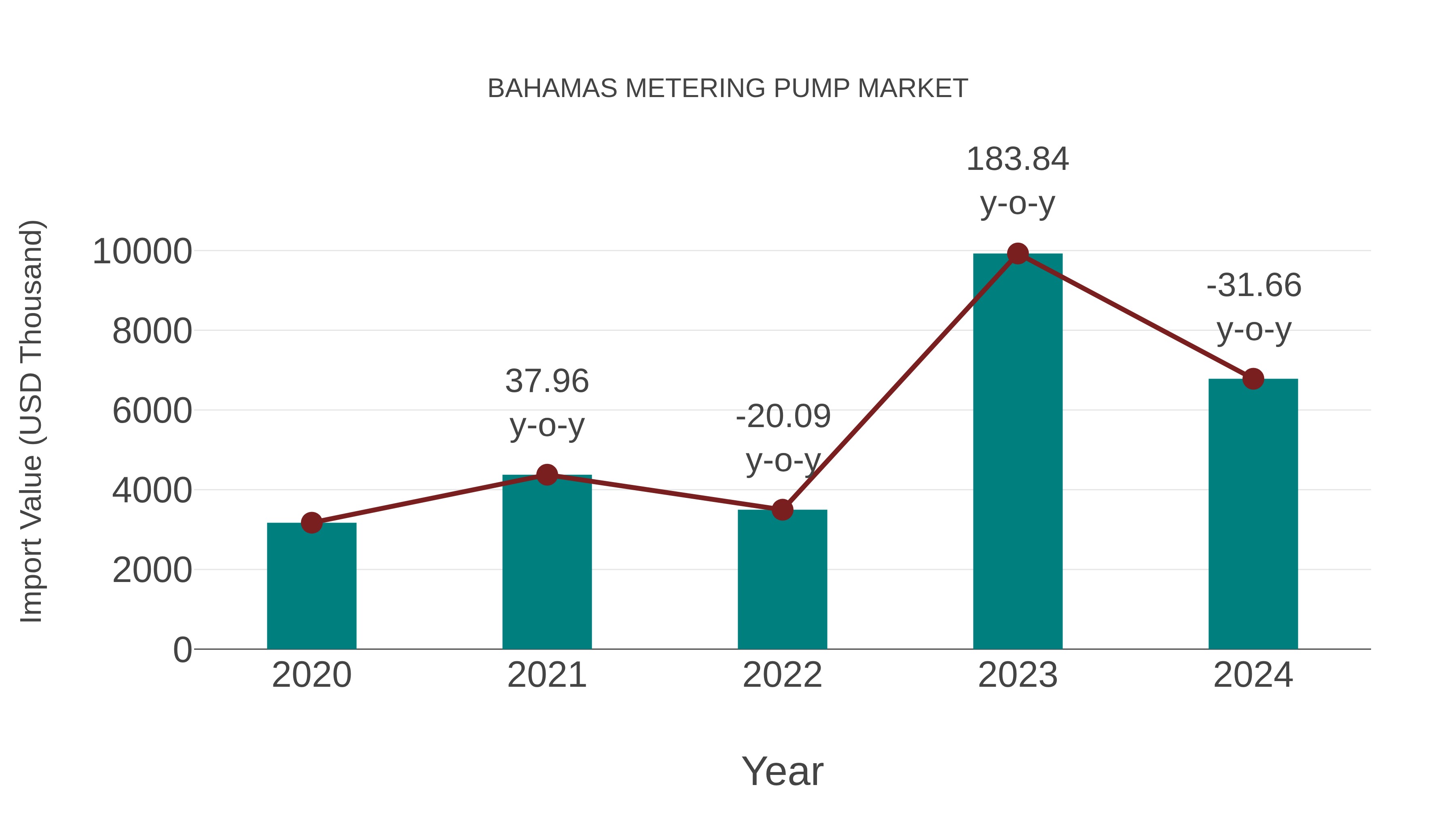  Bahamas Metering Pump Market: Import Trend Analysis