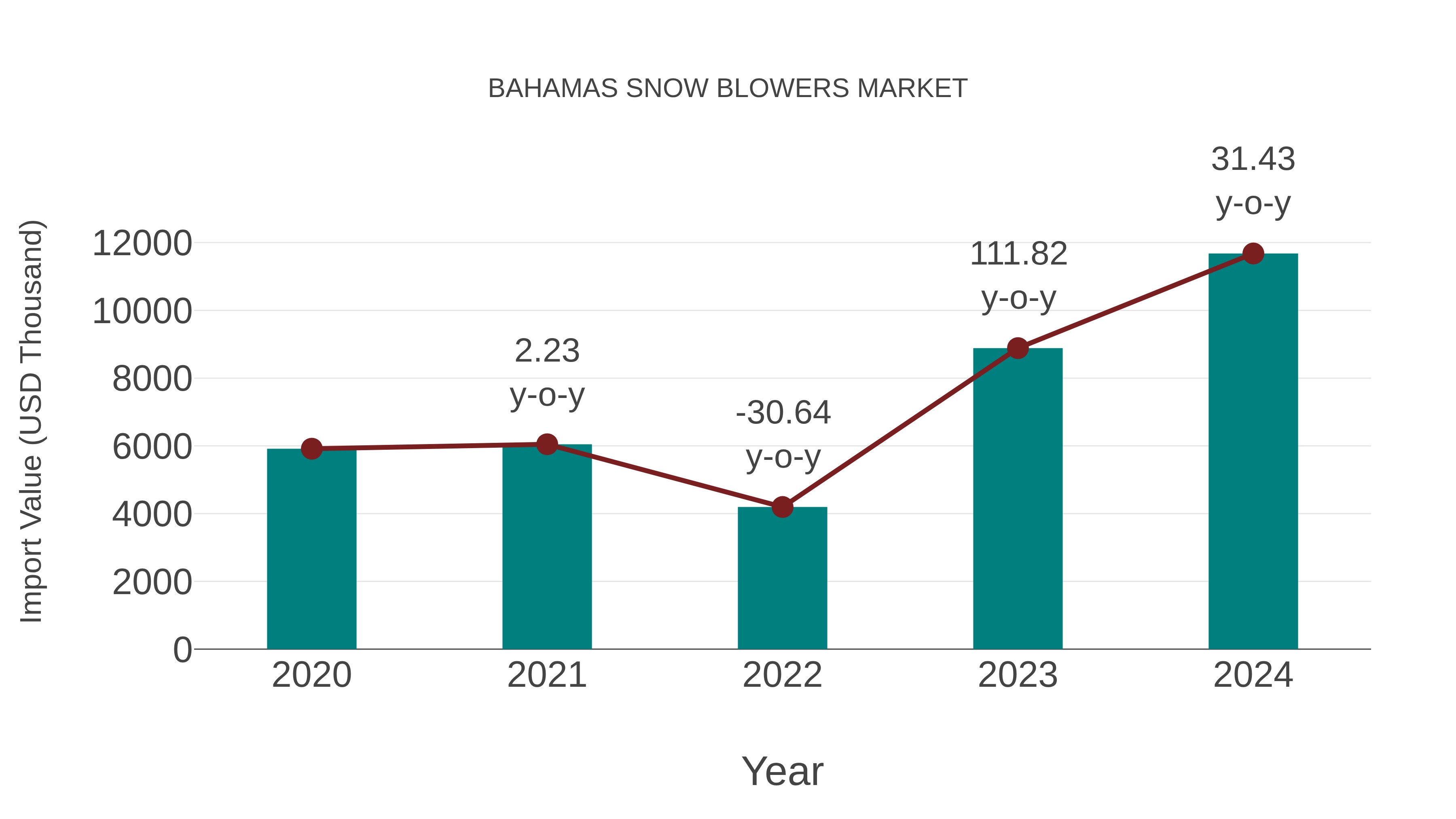  Bahamas Snow Blowers Market: Import Trend Analysis