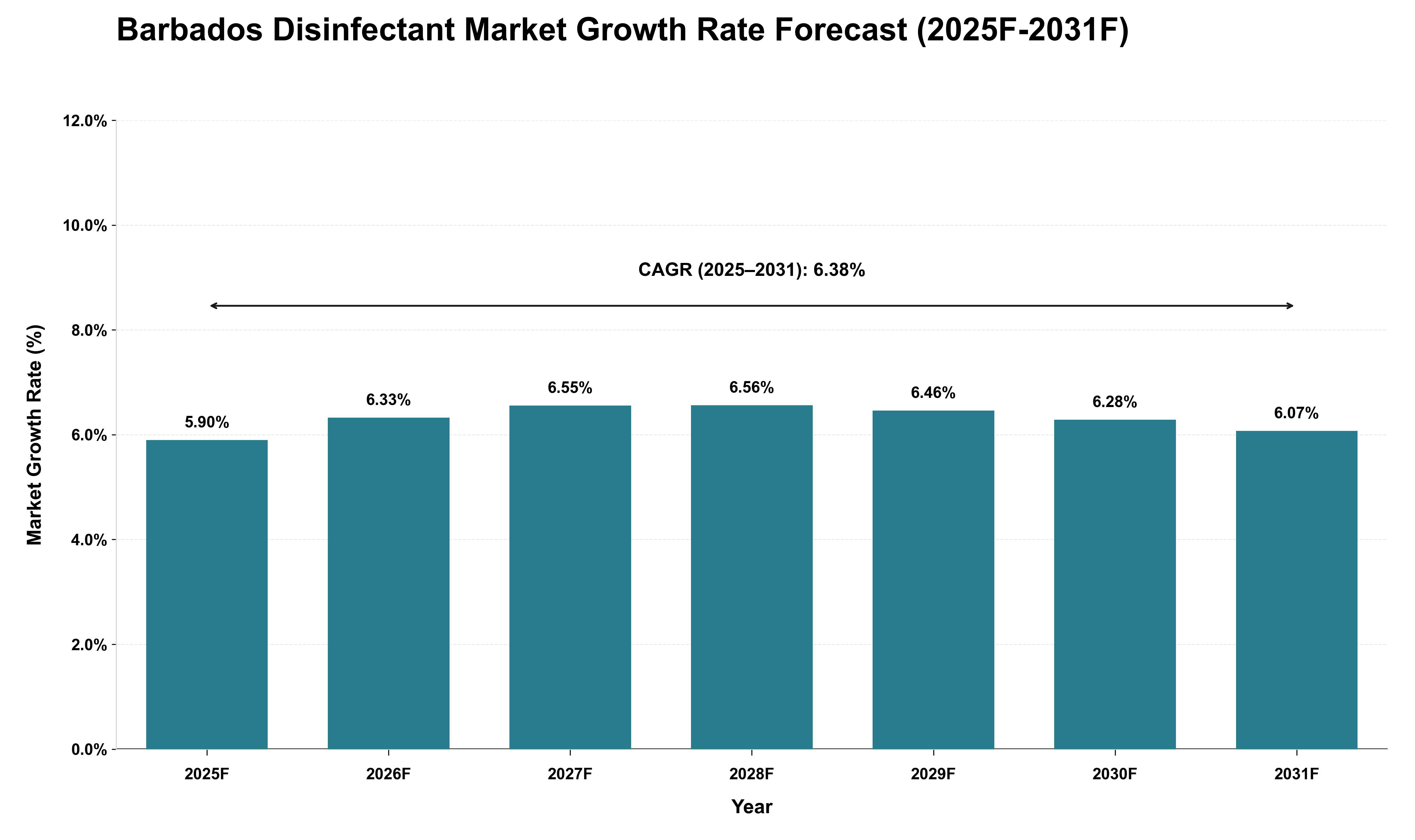 Barbados Disinfectant Market Growth Rate Analysis (2025 - 2031)