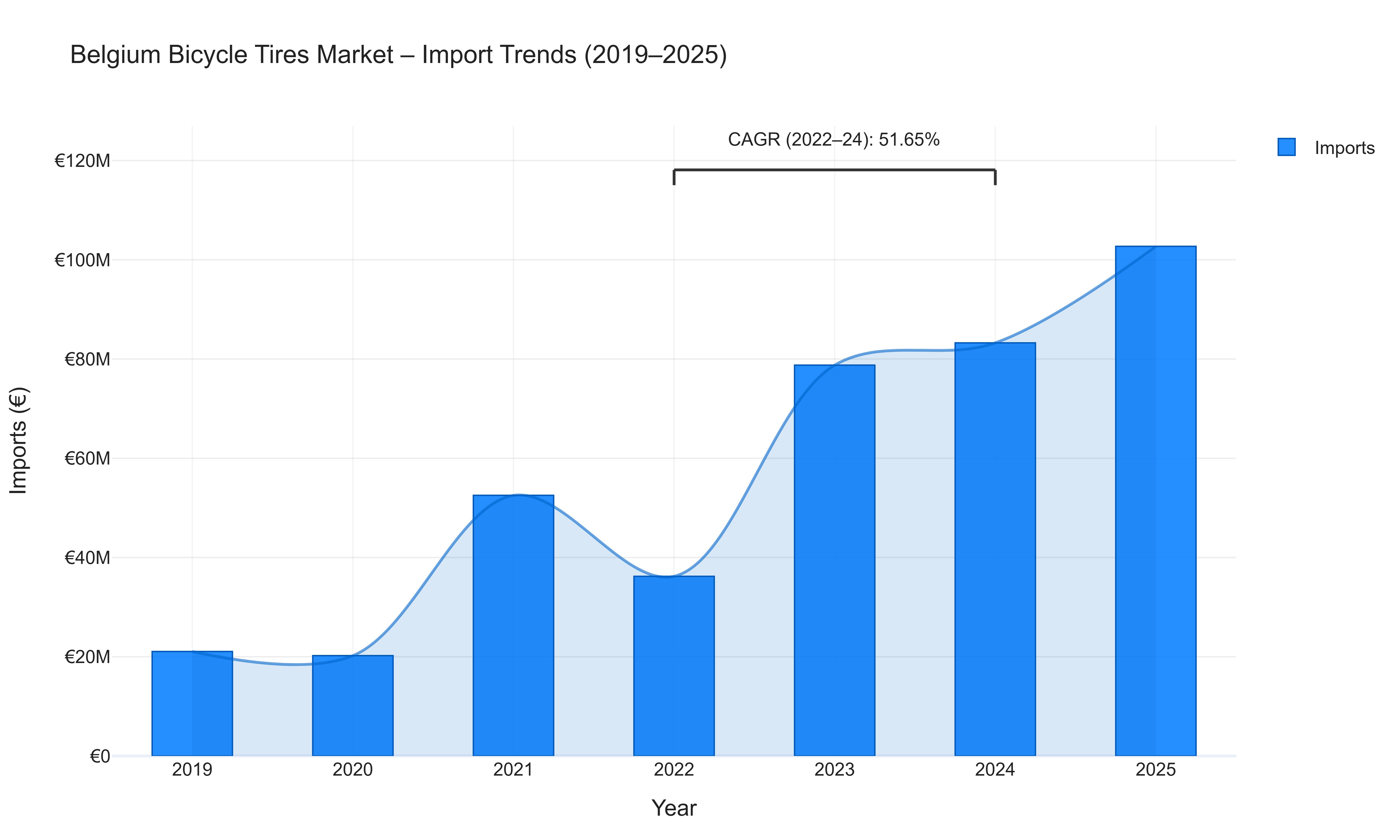 Belgium Bicycle Tires Market - Import Trends (2019-2025)