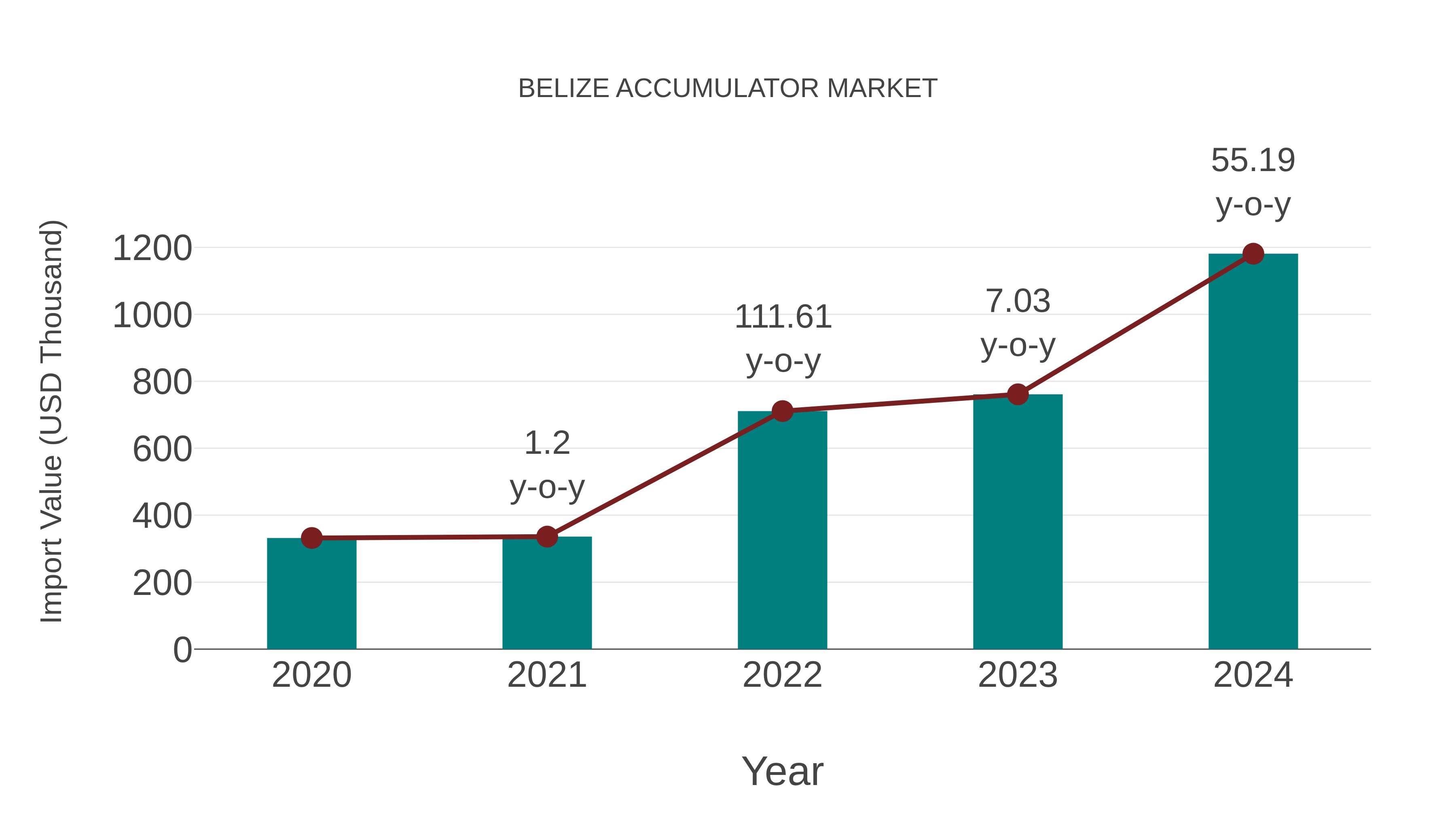  Belize Accumulator Market: Import Trend Analysis