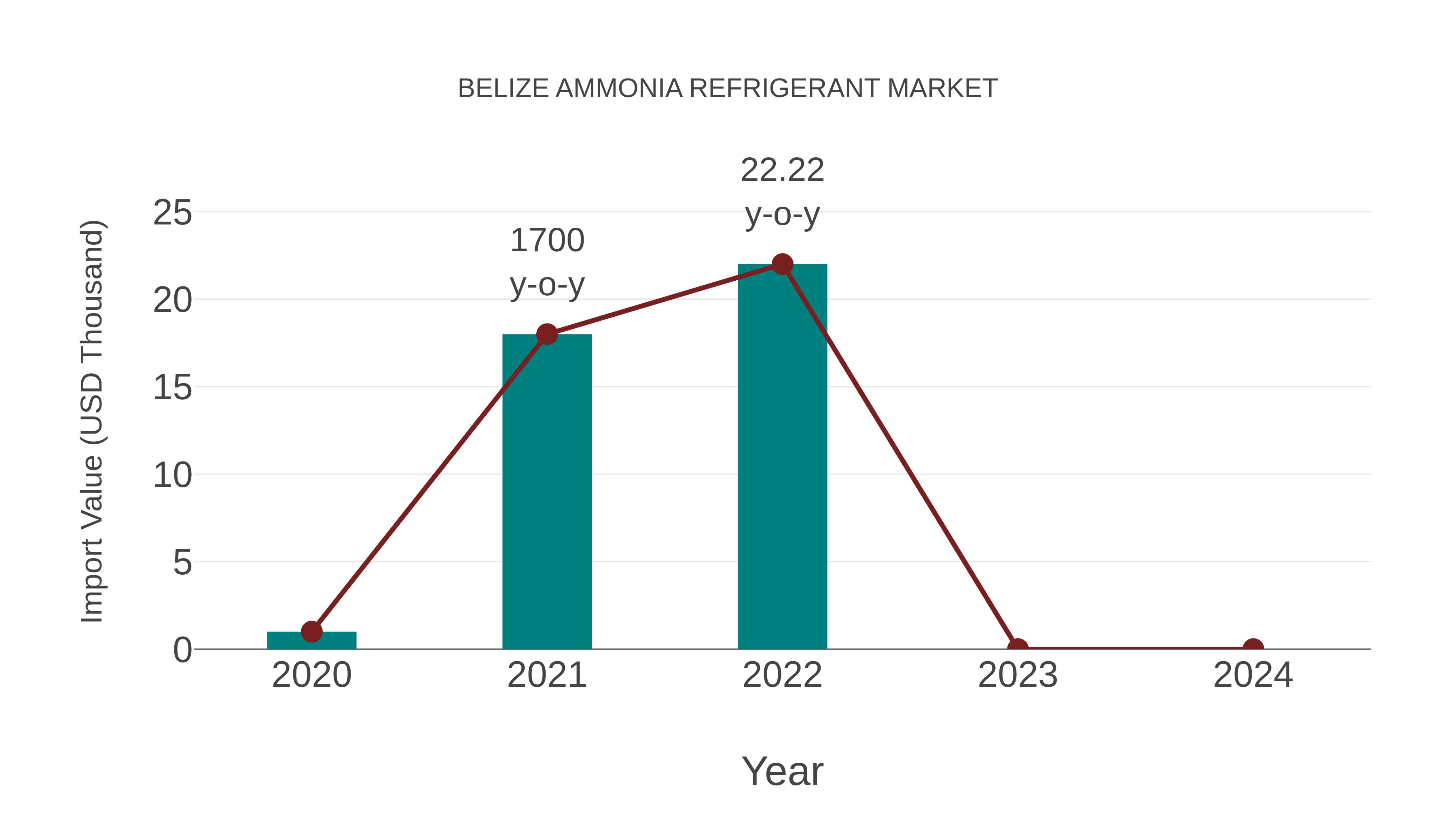  Belize Ammonia Refrigerant Market: Import Trend Analysis