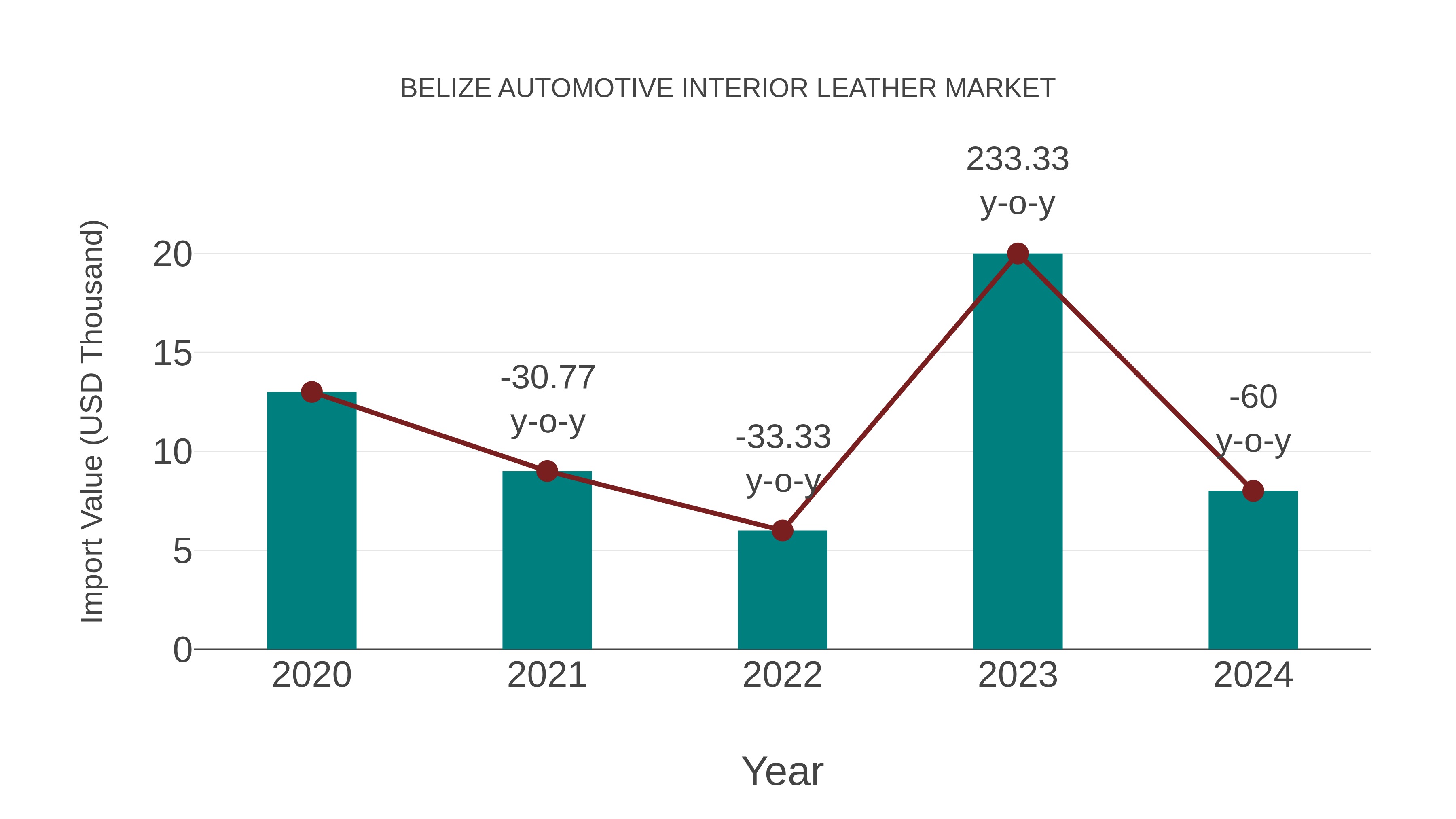  Belize Automotive Interior Leather Market: Import Trend Analysis
