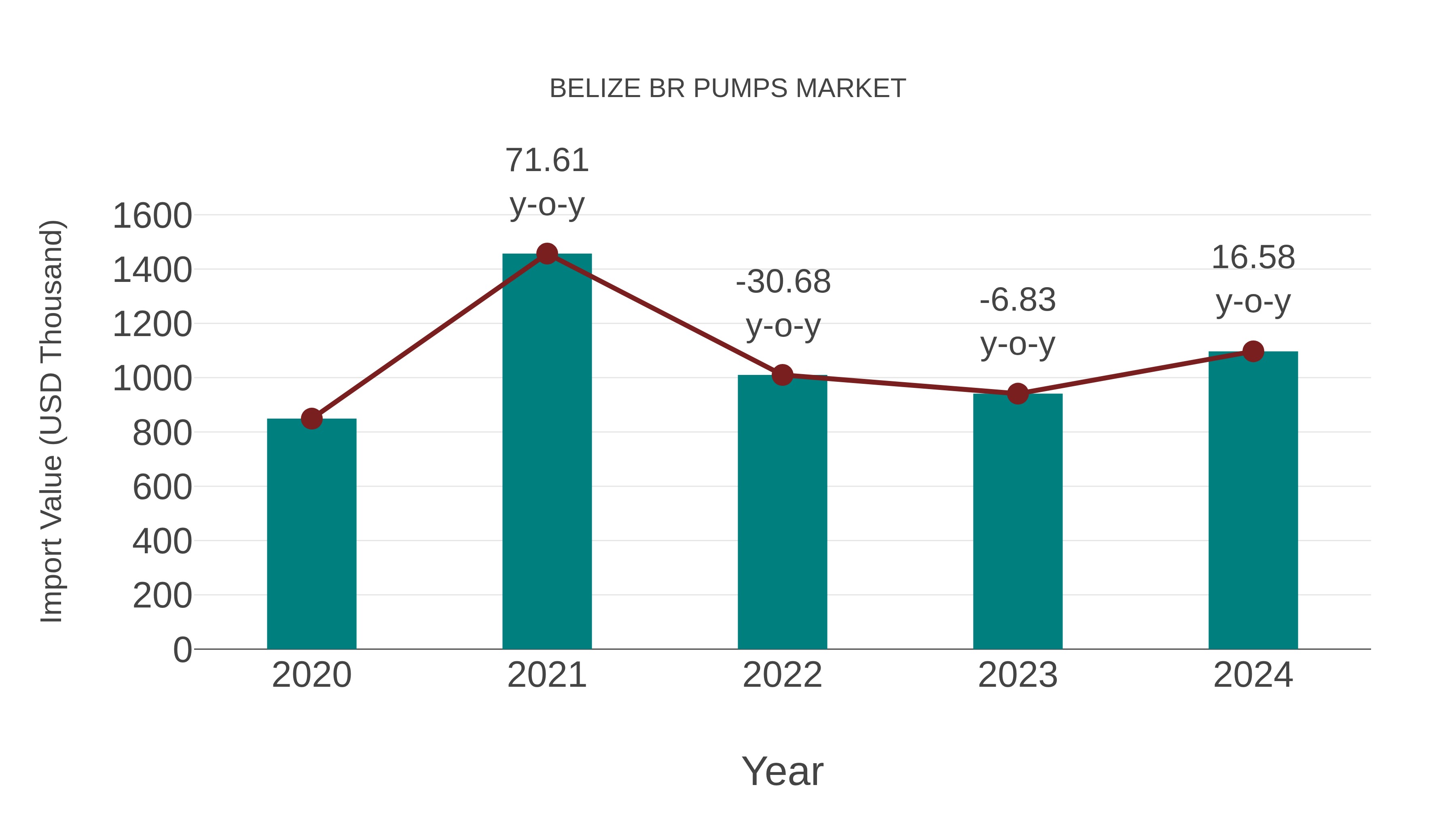  Belize Br Pumps Market: Import Trend Analysis