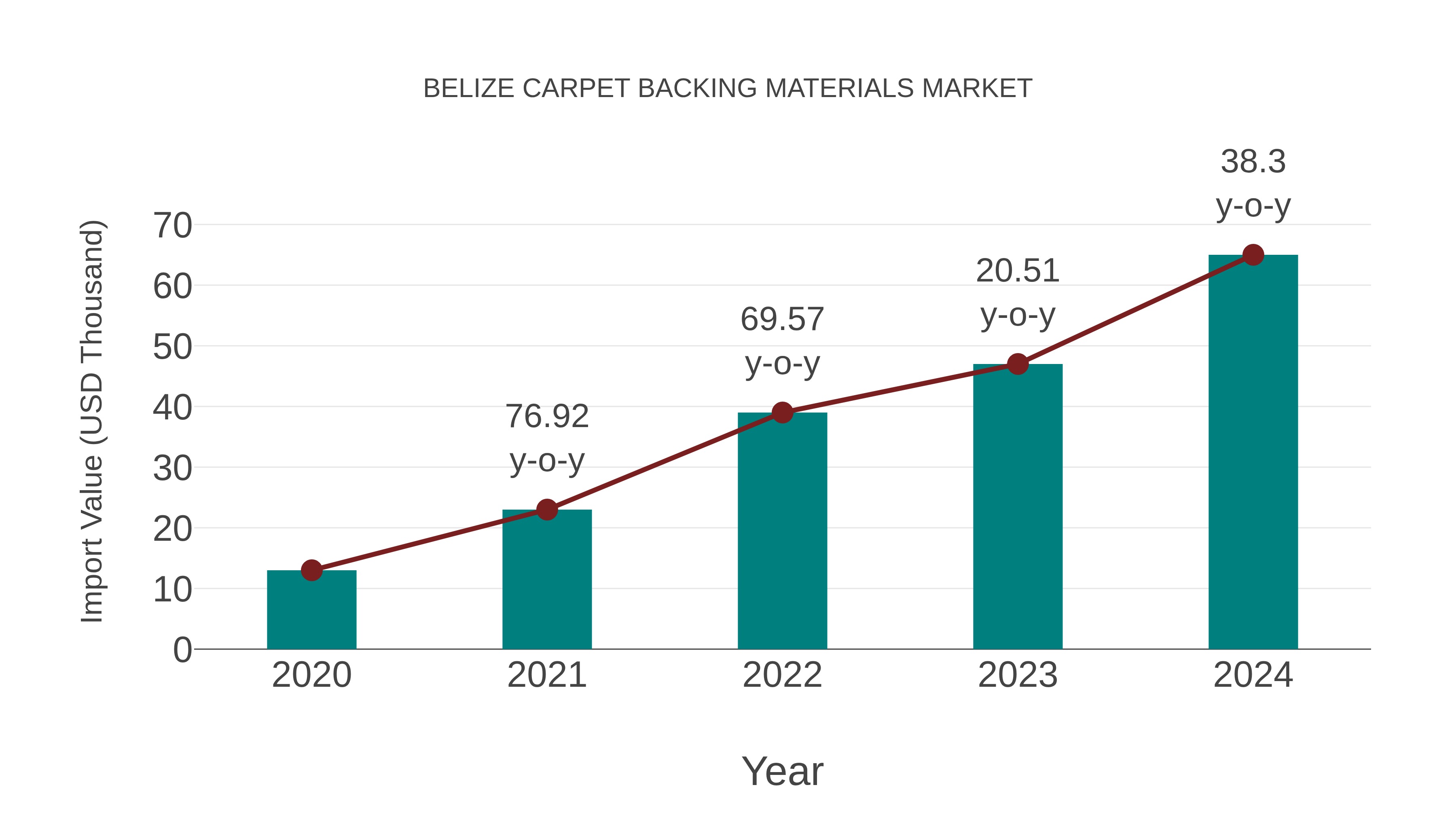  Belize Carpet Backing Materials Market: Import Trend Analysis