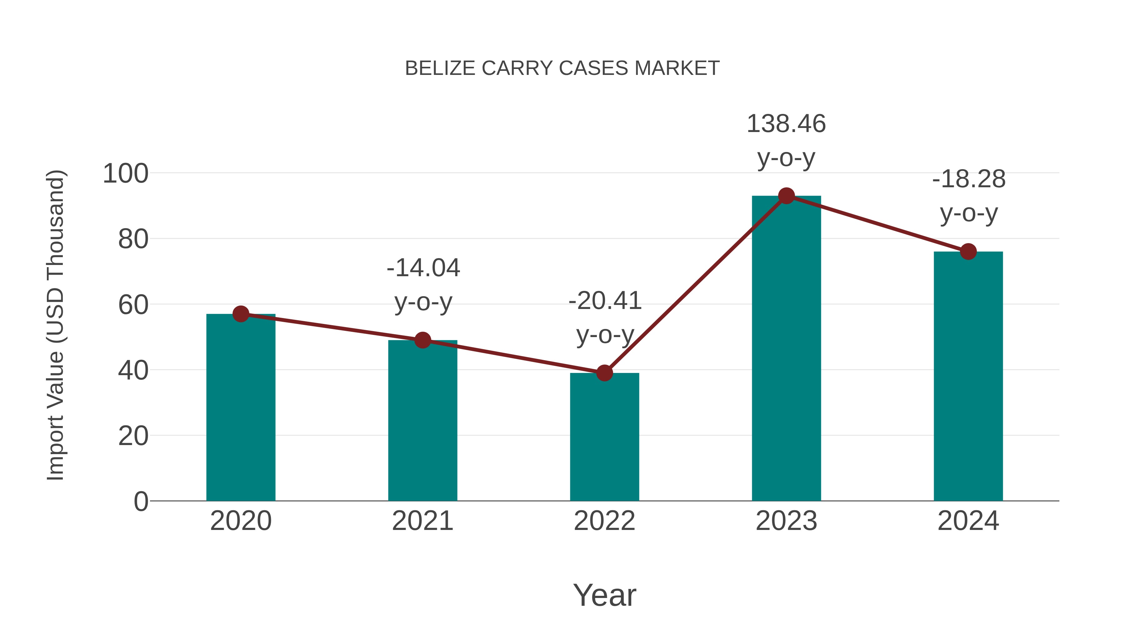  Belize Carry Cases Market: Import Trend Analysis
