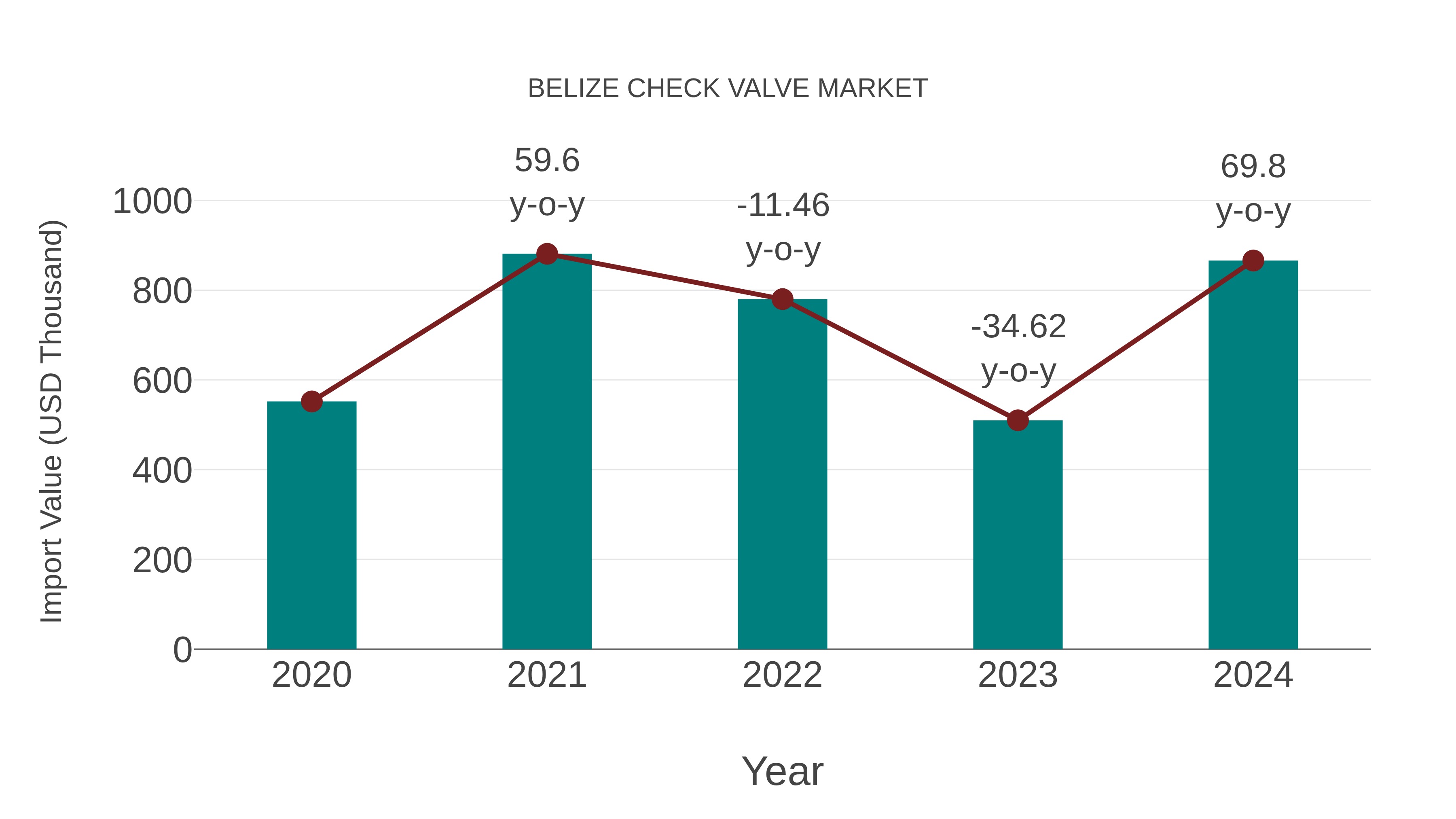 Belize Check Valve Market: Import Trend Analysis