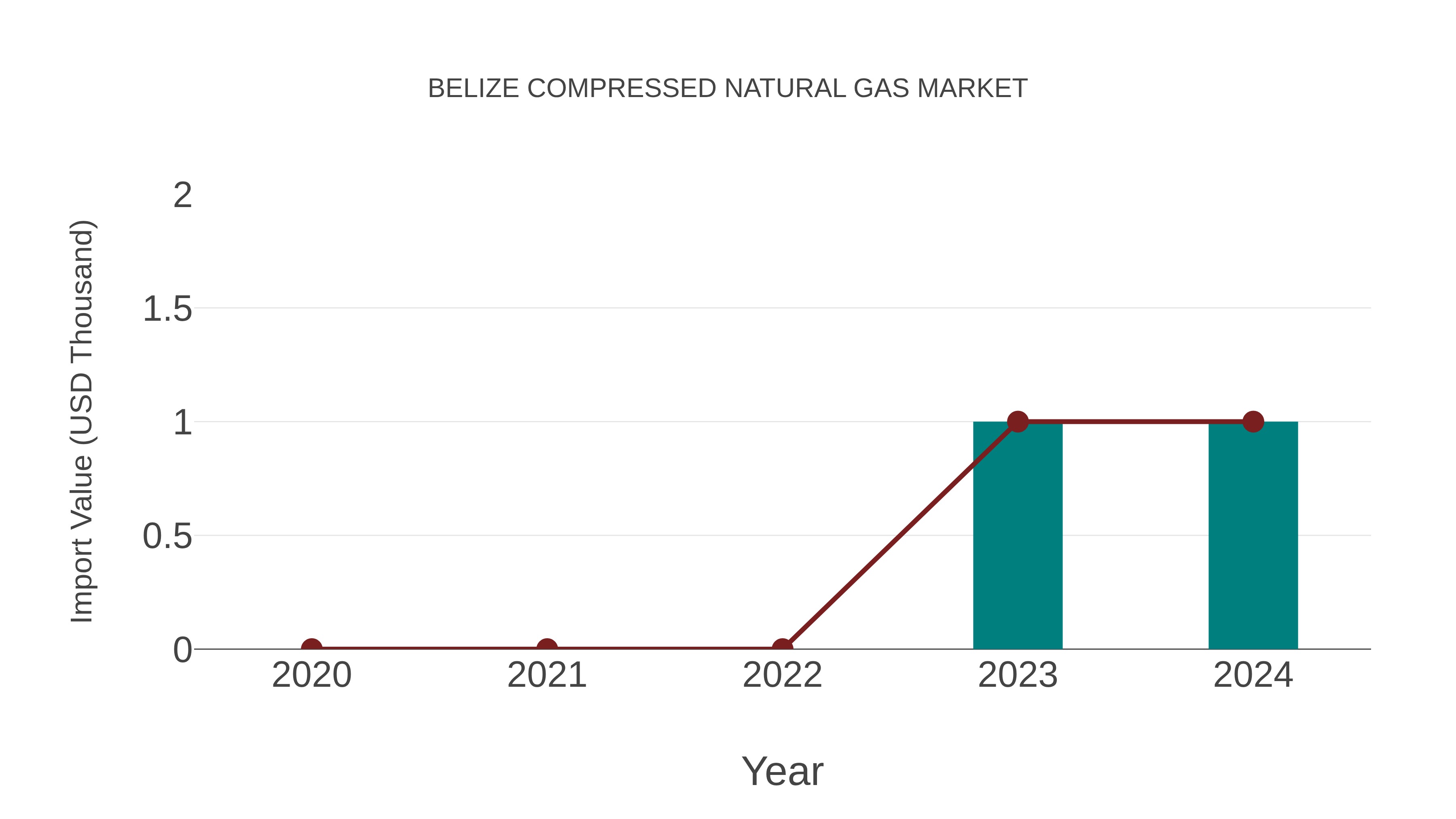 Belize Compressed Natural Gas Market: Import Trend Analysis