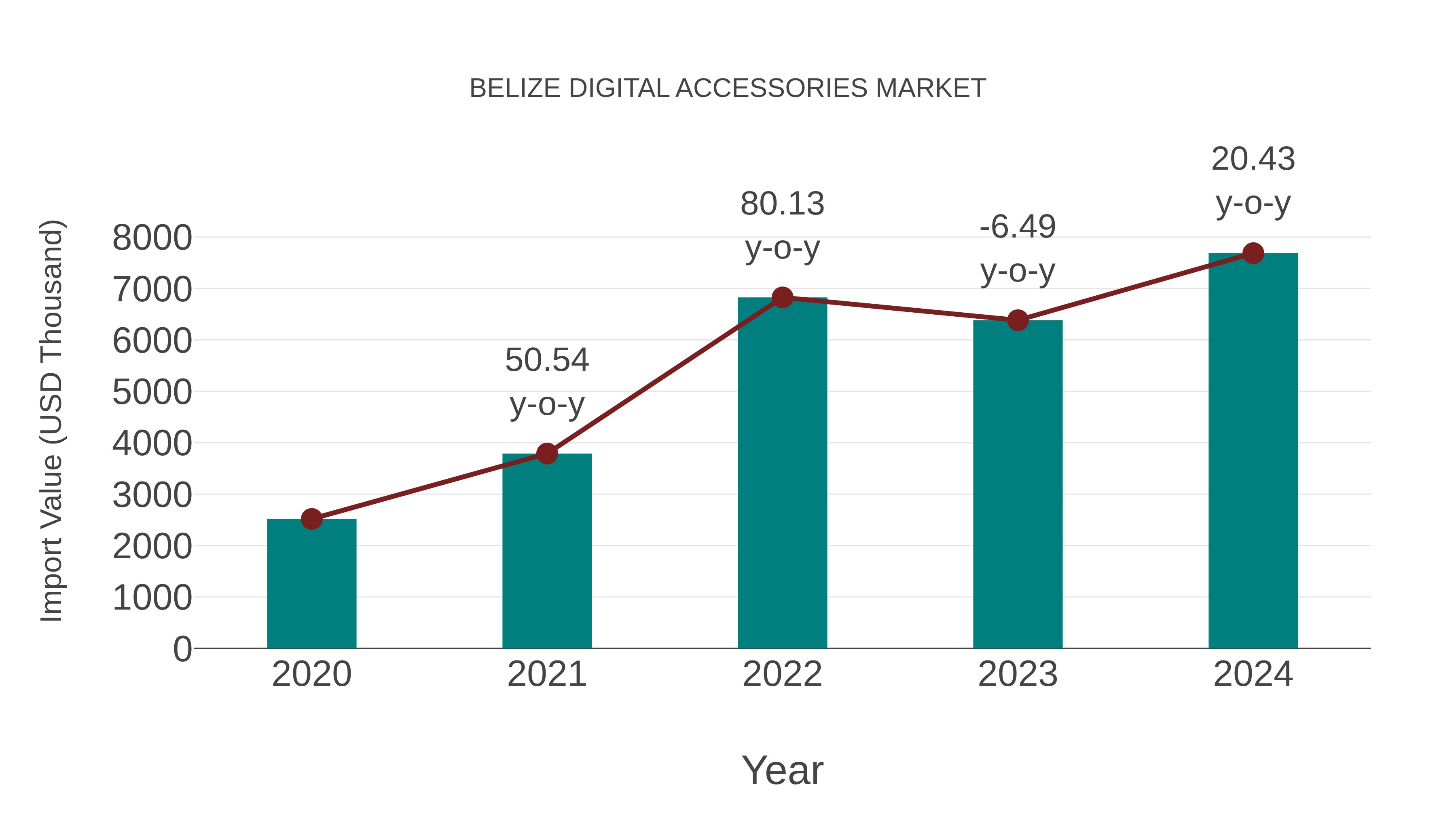  Belize Digital Accessories Market: Import Trend Analysis
