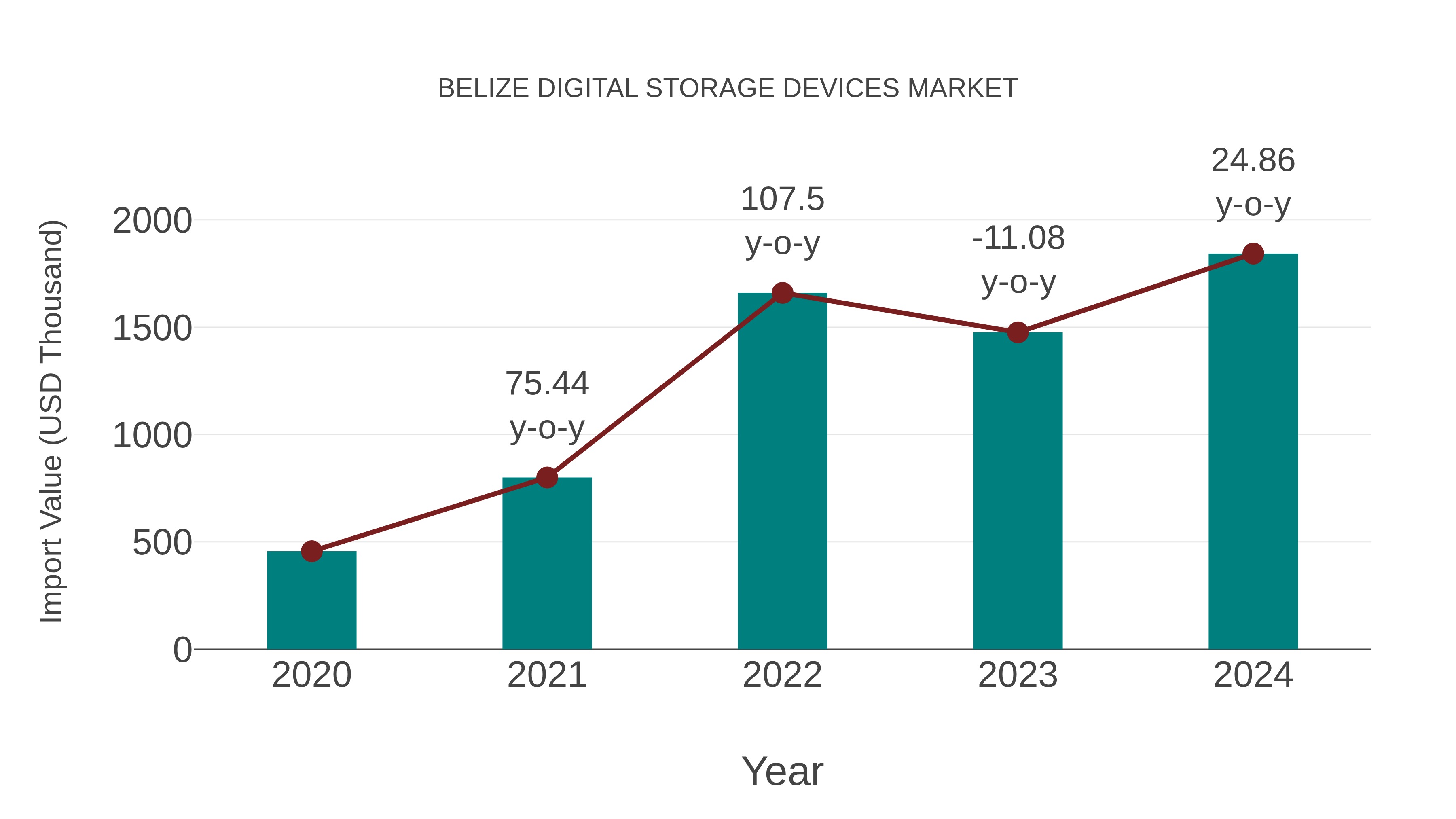  Belize Digital Storage Devices Market: Import Trend Analysis