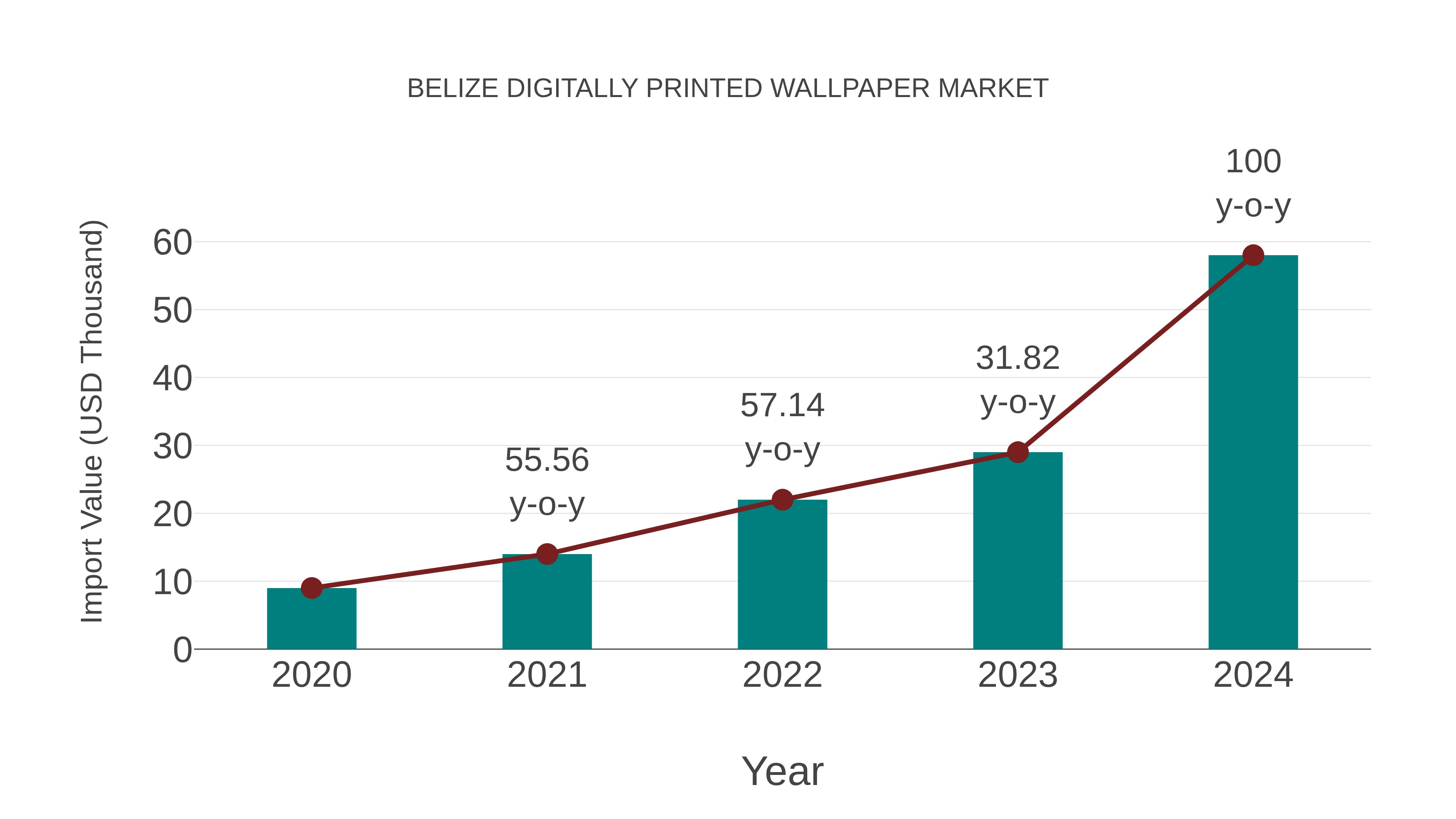 Belize Digitally Printed Wallpaper Market: Import Trend Analysis