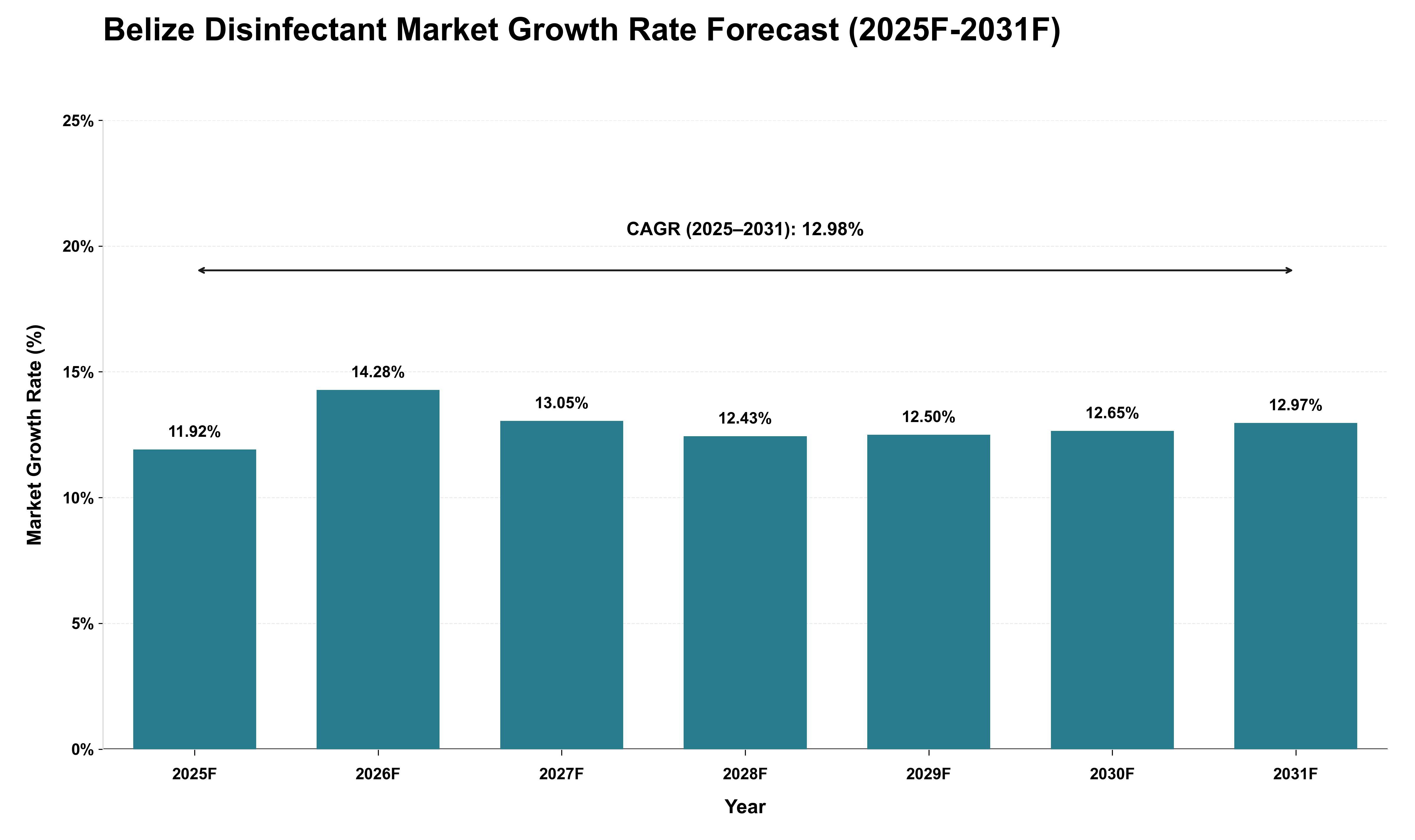 Belize Disinfectant Market Growth Rate Analysis (2025 - 2031)
