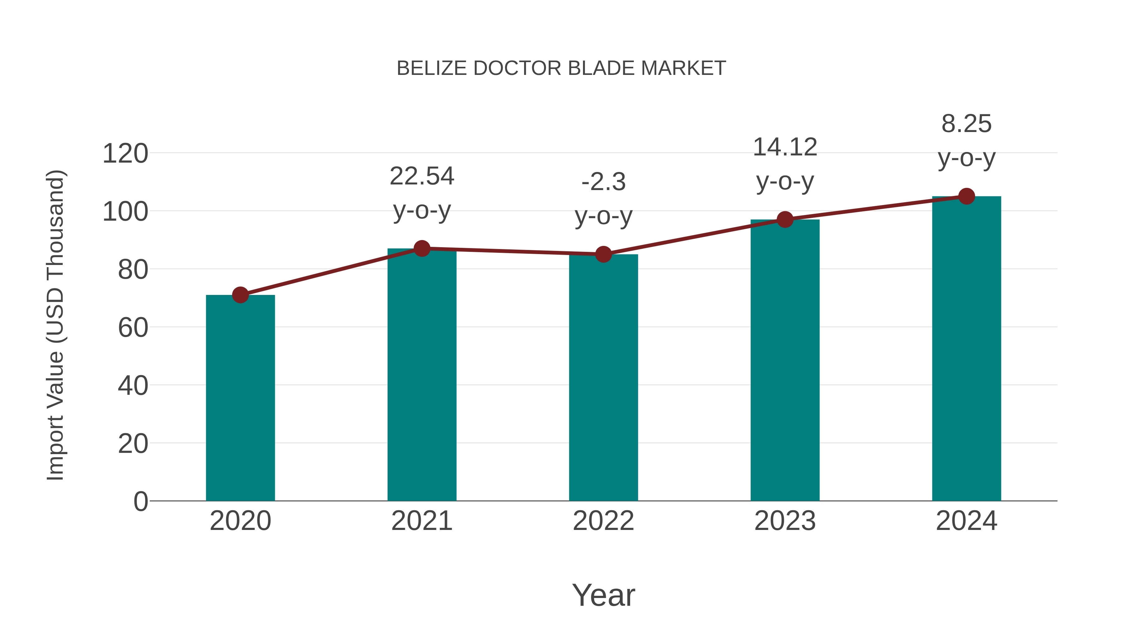  Belize Doctor Blade Market: Import Trend Analysis