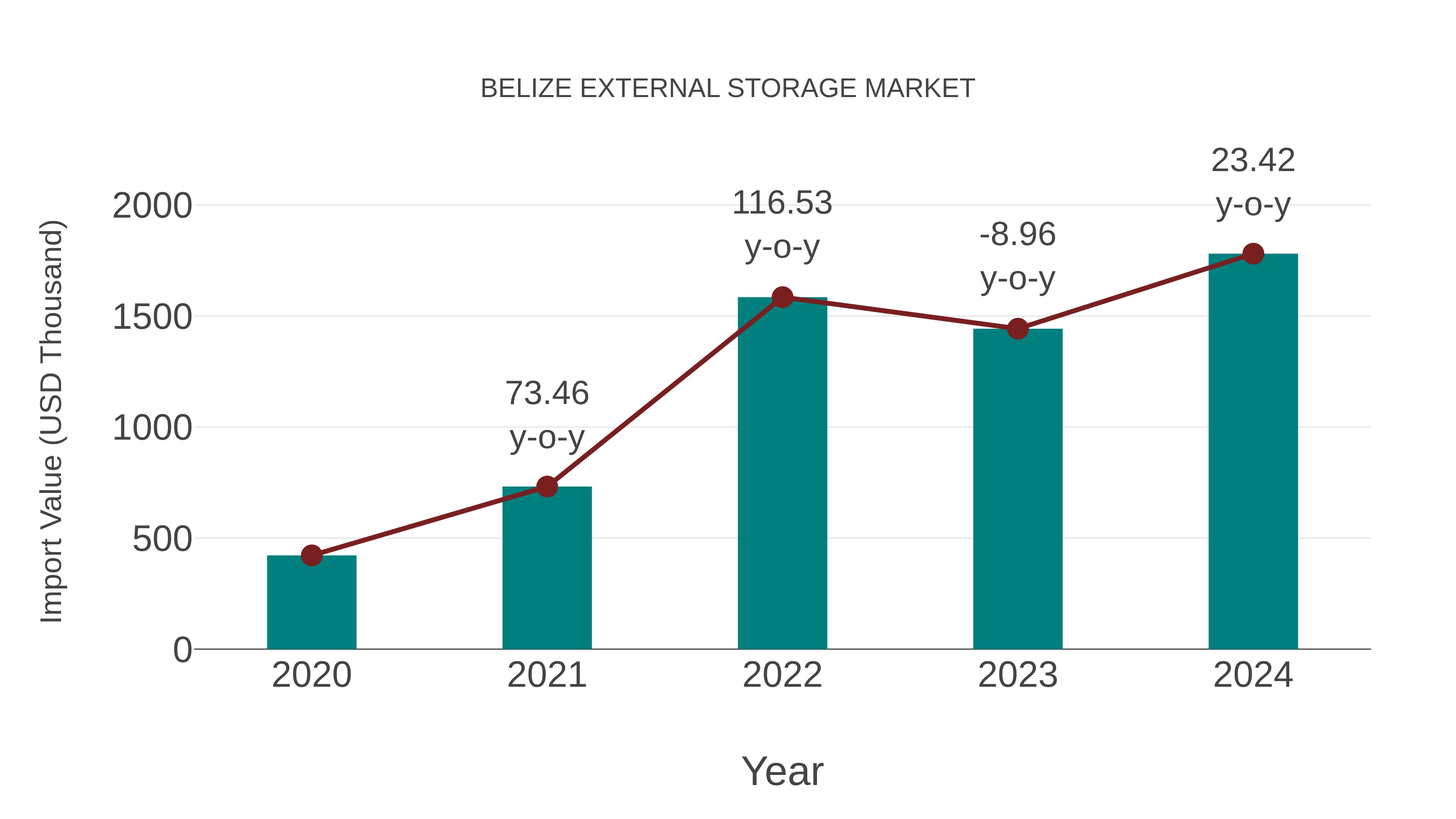  Belize External Storage Market: Import Trend Analysis