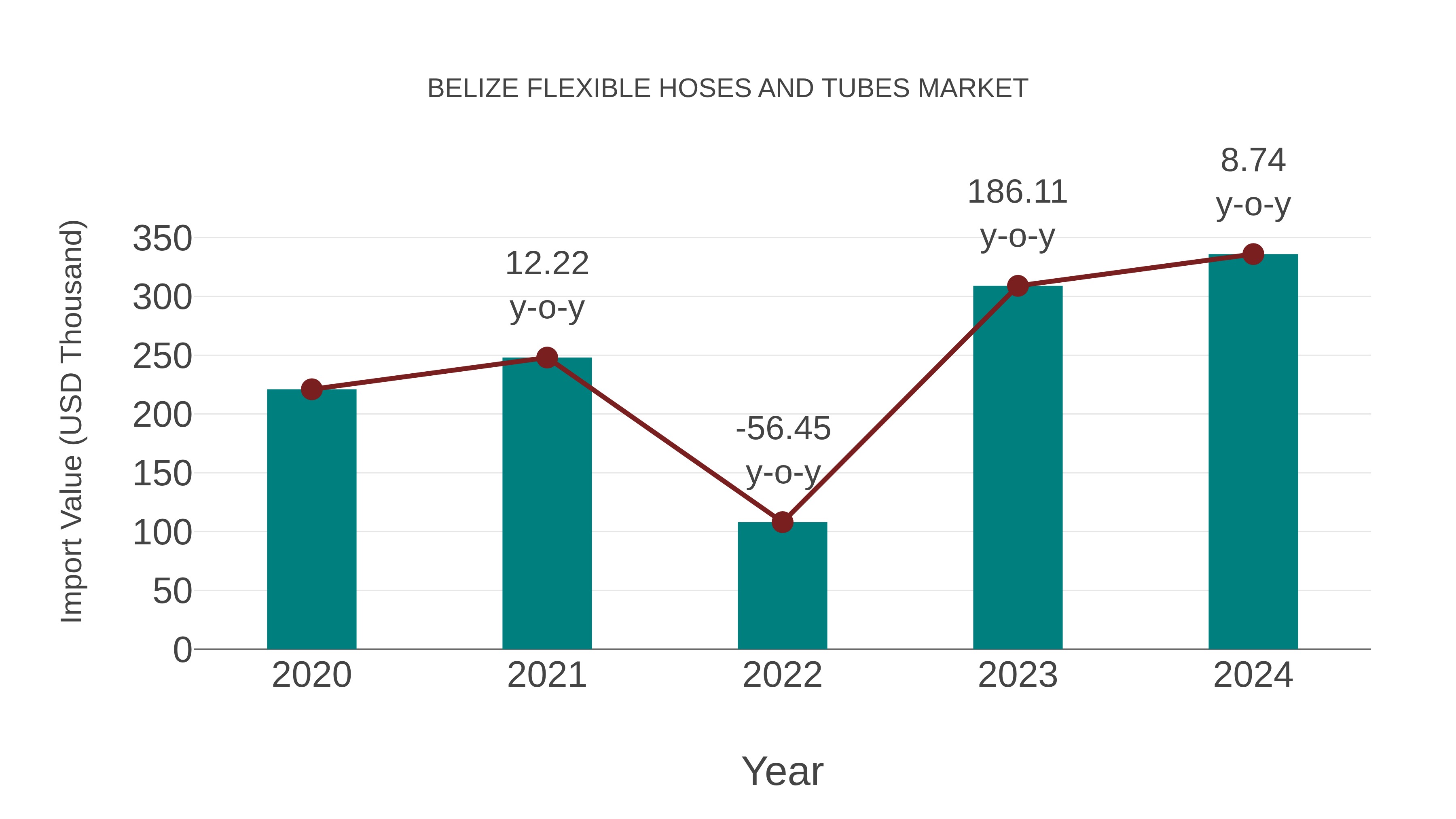  Belize Flexible Hoses and Tubes Market: Import Trend Analysis