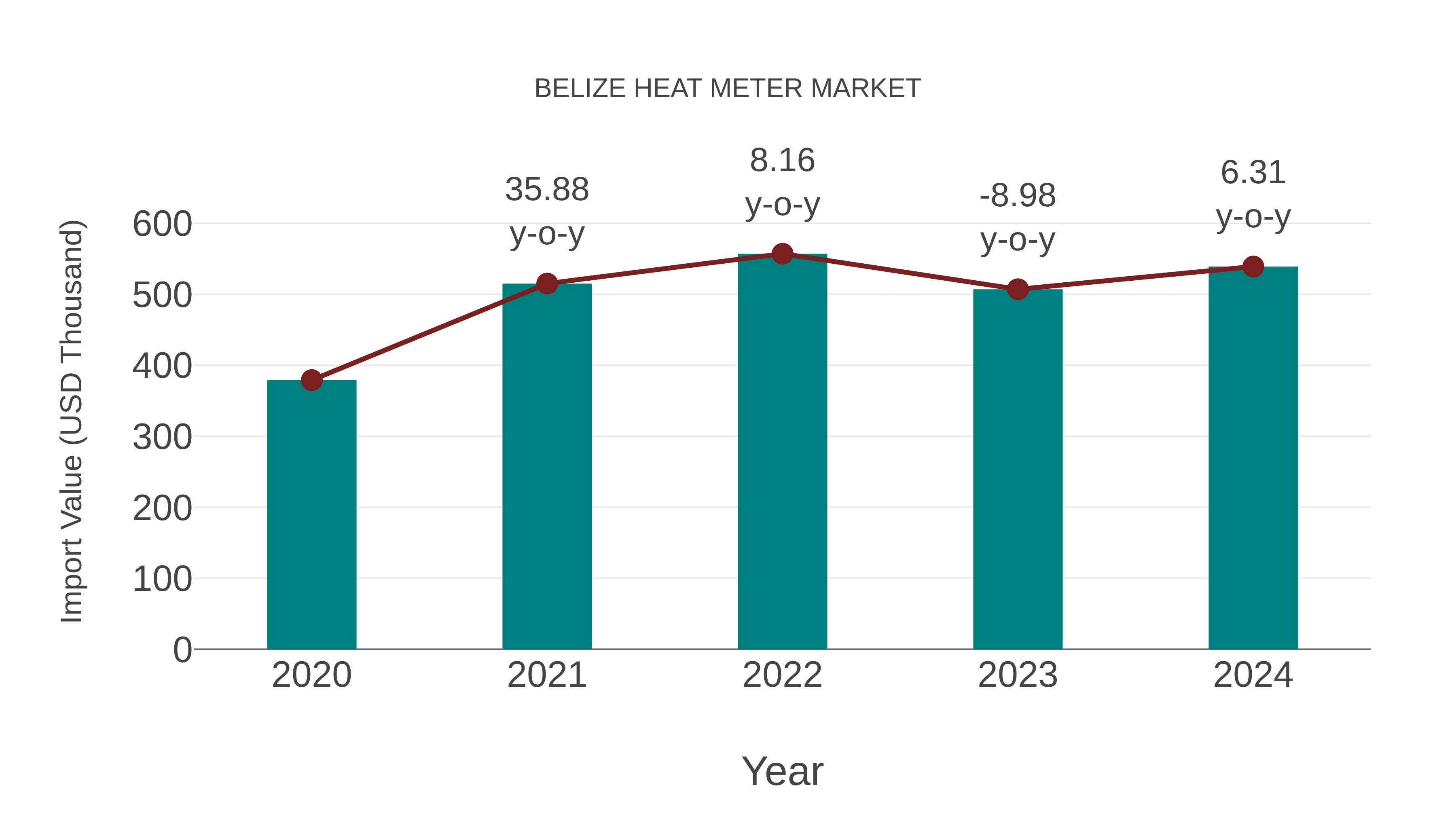  Belize Heat Meter Market: Import Trend Analysis