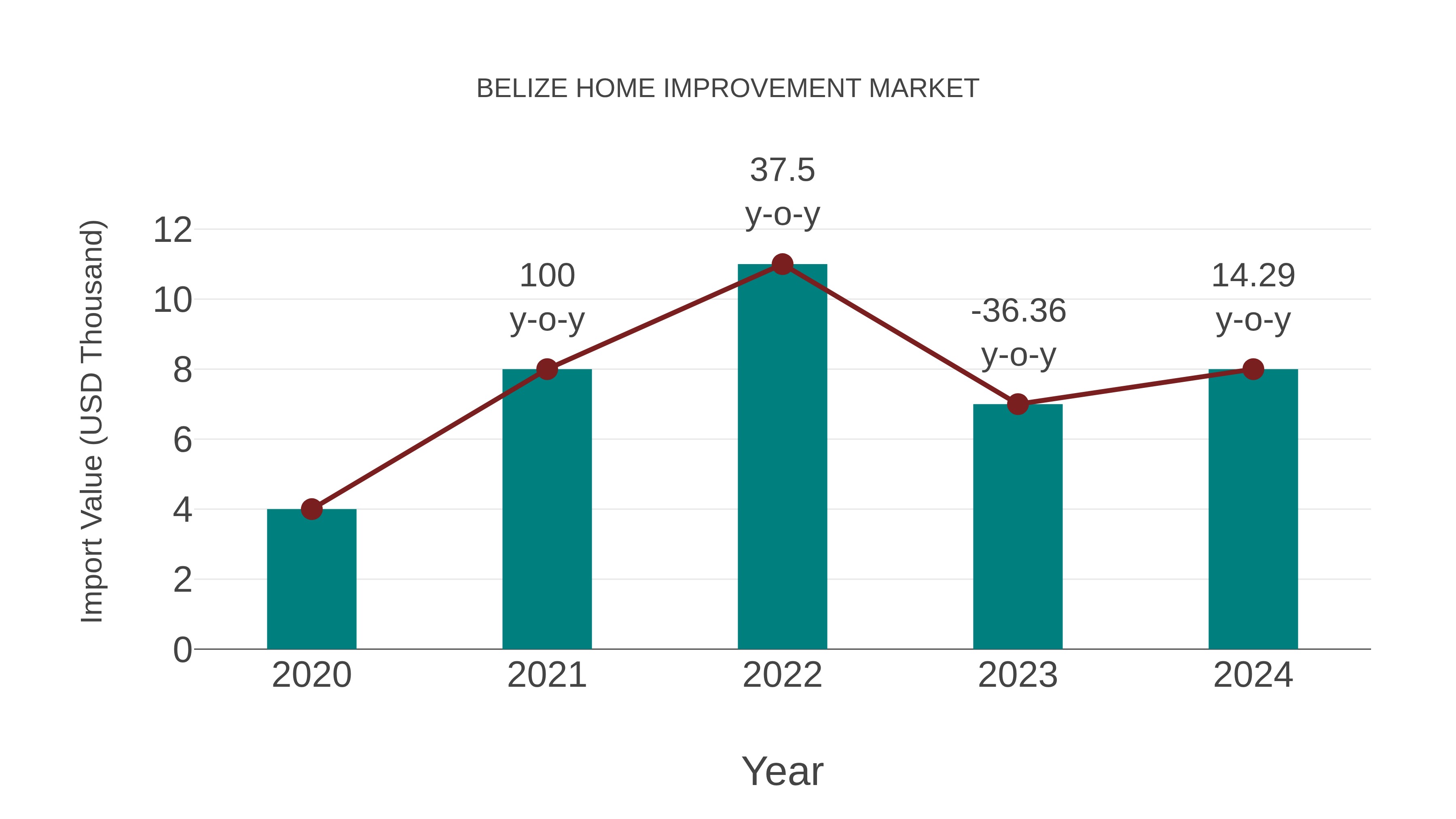  Belize Home Improvement Market: Import Trend Analysis