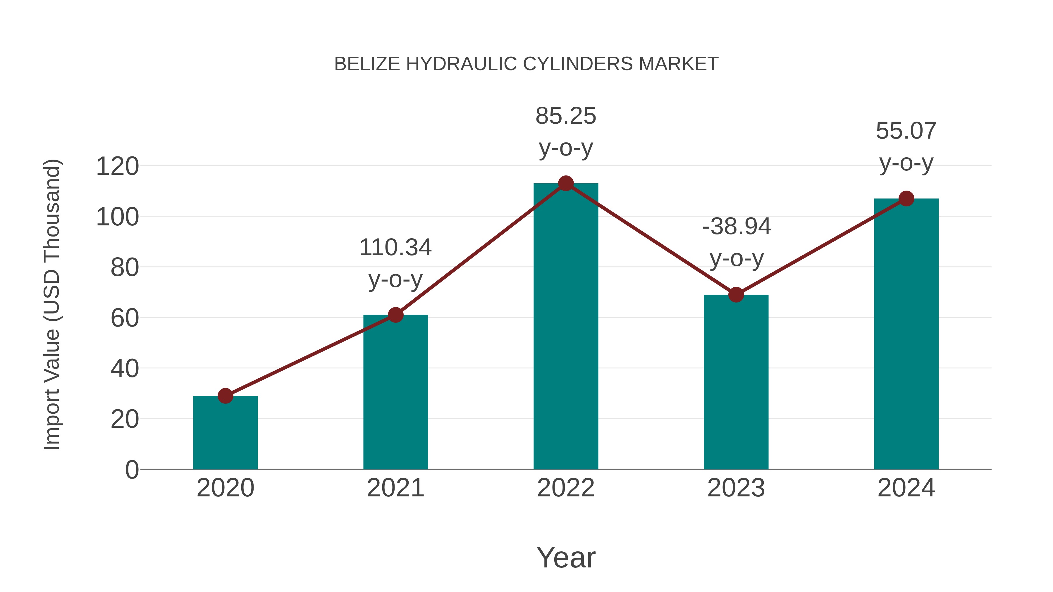 Belize Hydraulic Cylinders Market: Import Trend Analysis
