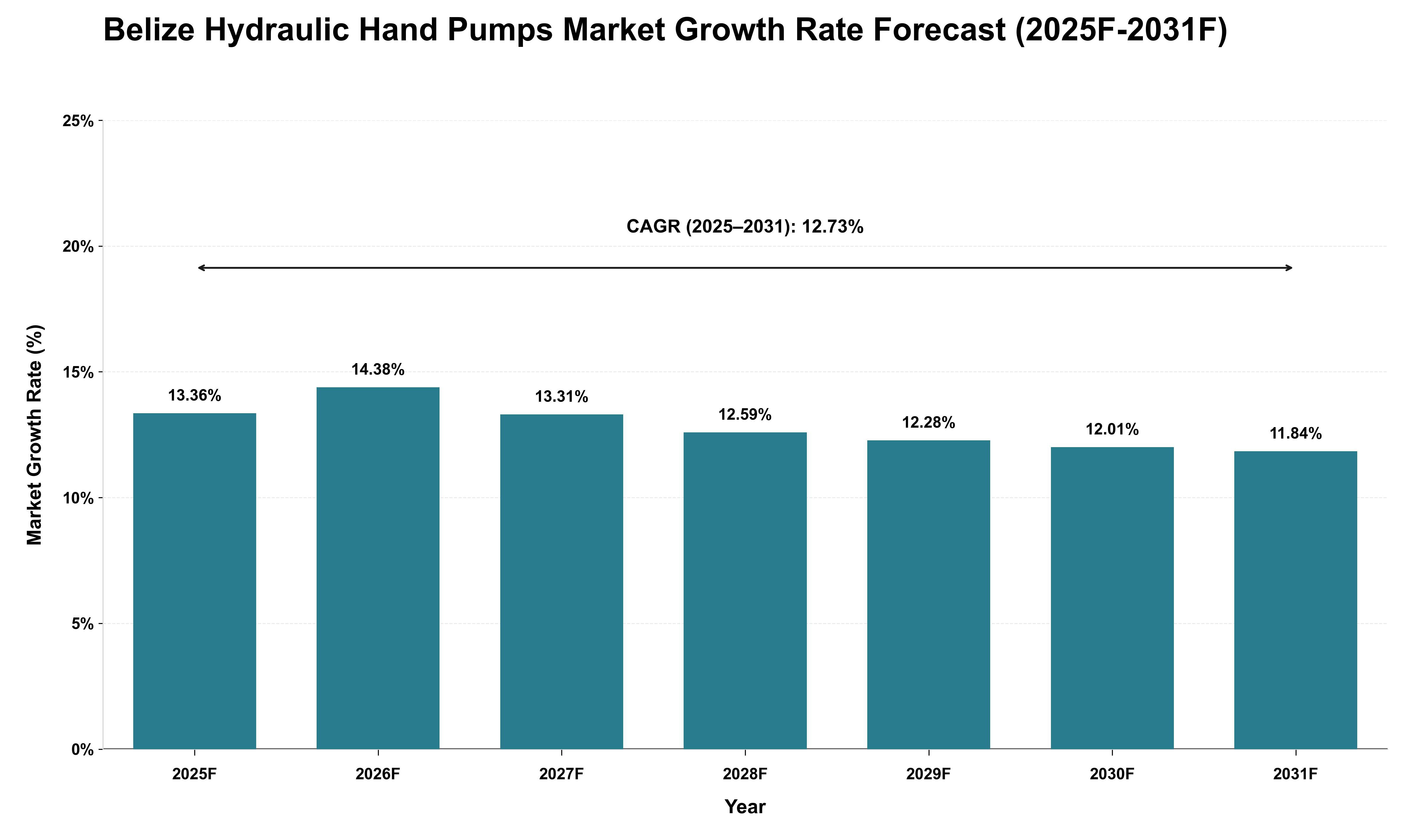 Belize Hydraulic Hand Pumps Market Growth Rate Analysis (2025 - 2031)