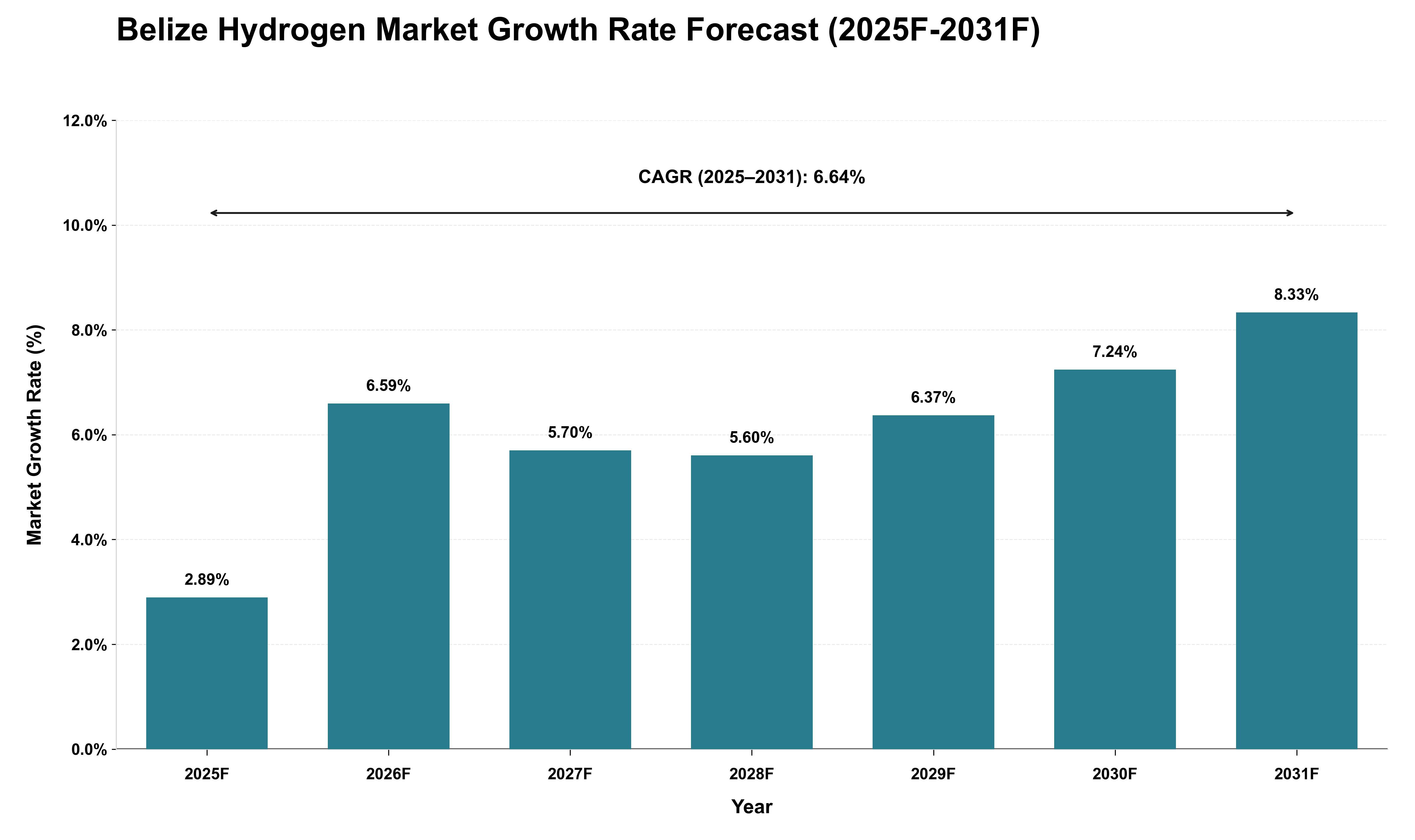 Belize Hydrogen Market Growth Rate Analysis (2025 - 2031)