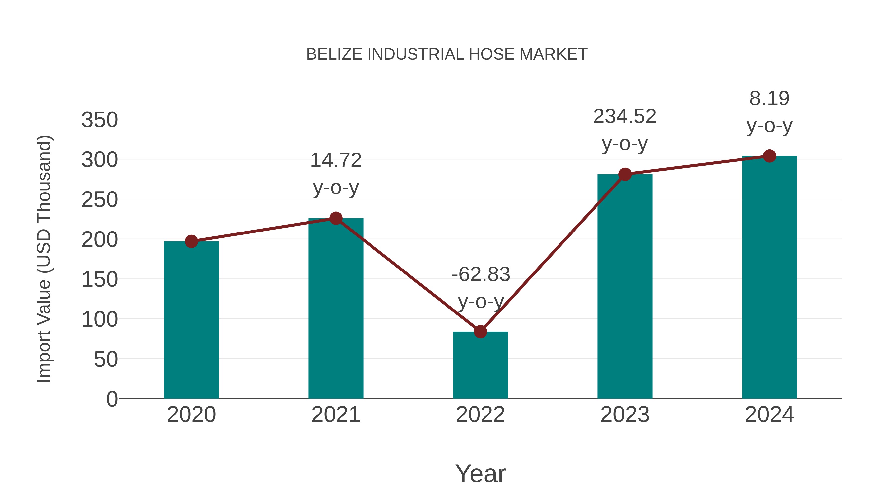  Belize Industrial Hose Market: Import Trend Analysis