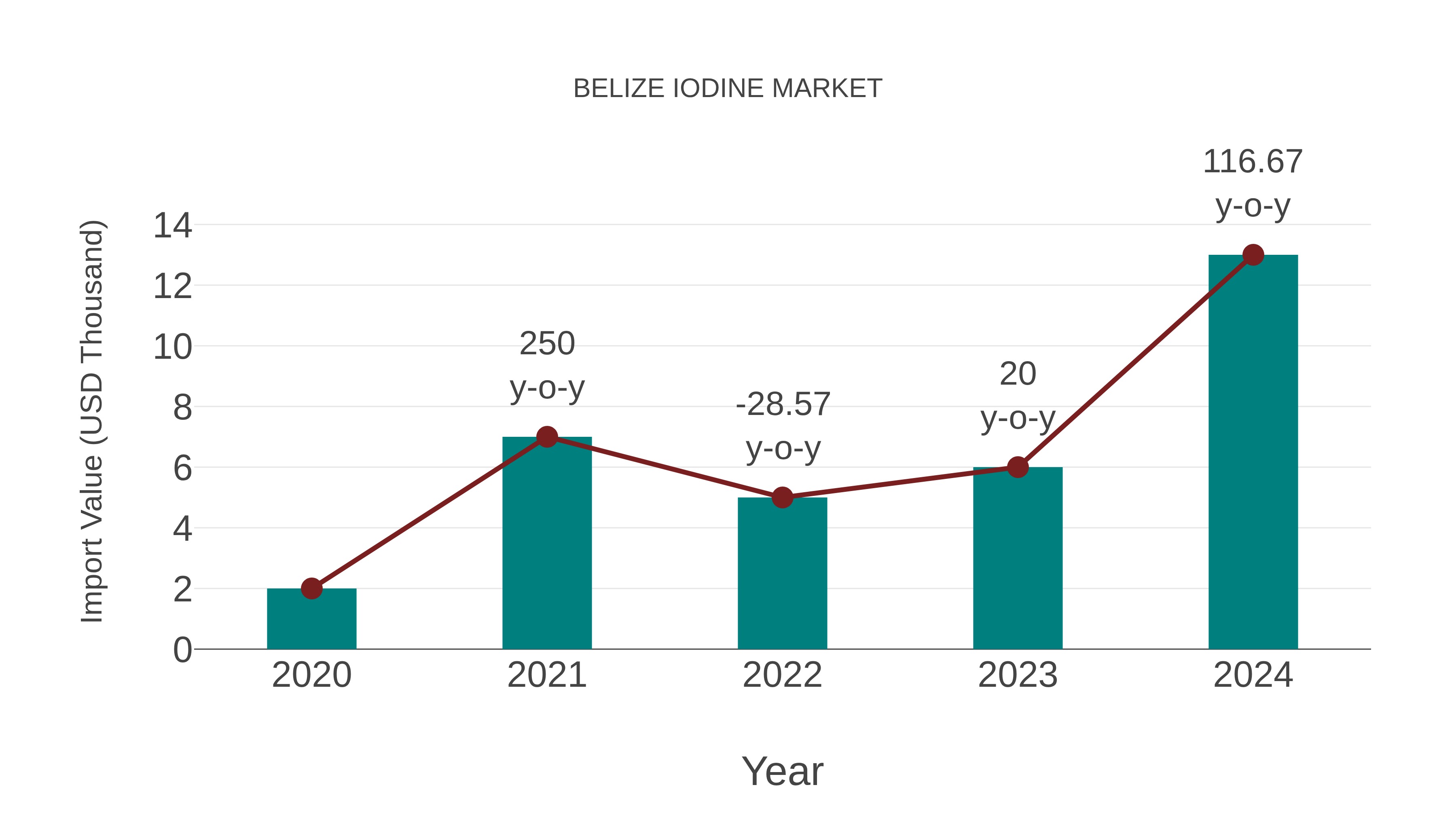  Belize Iodine Market: Import Trend Analysis