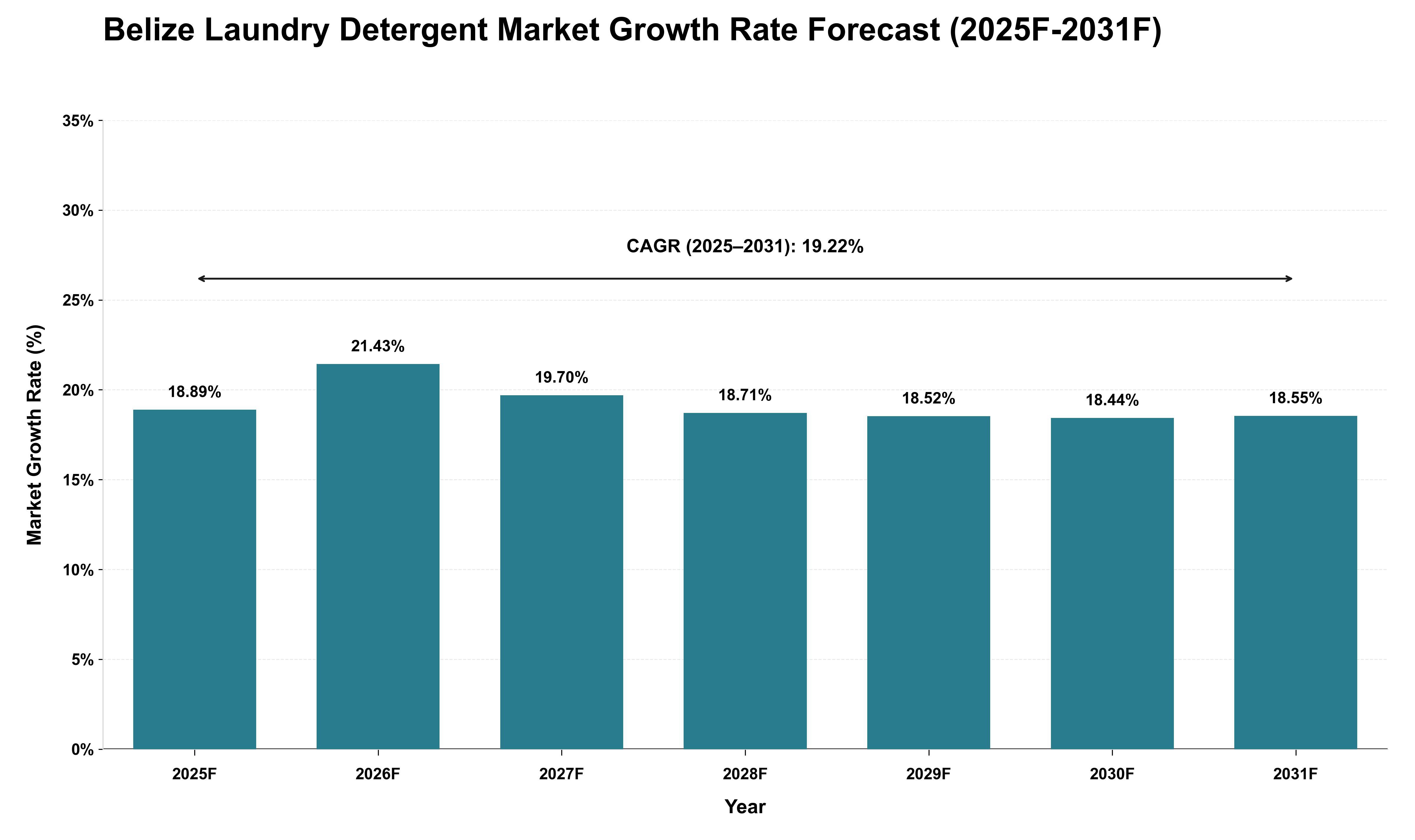 Belize Laundry Detergent Market Growth Rate Analysis (2025 - 2031)
