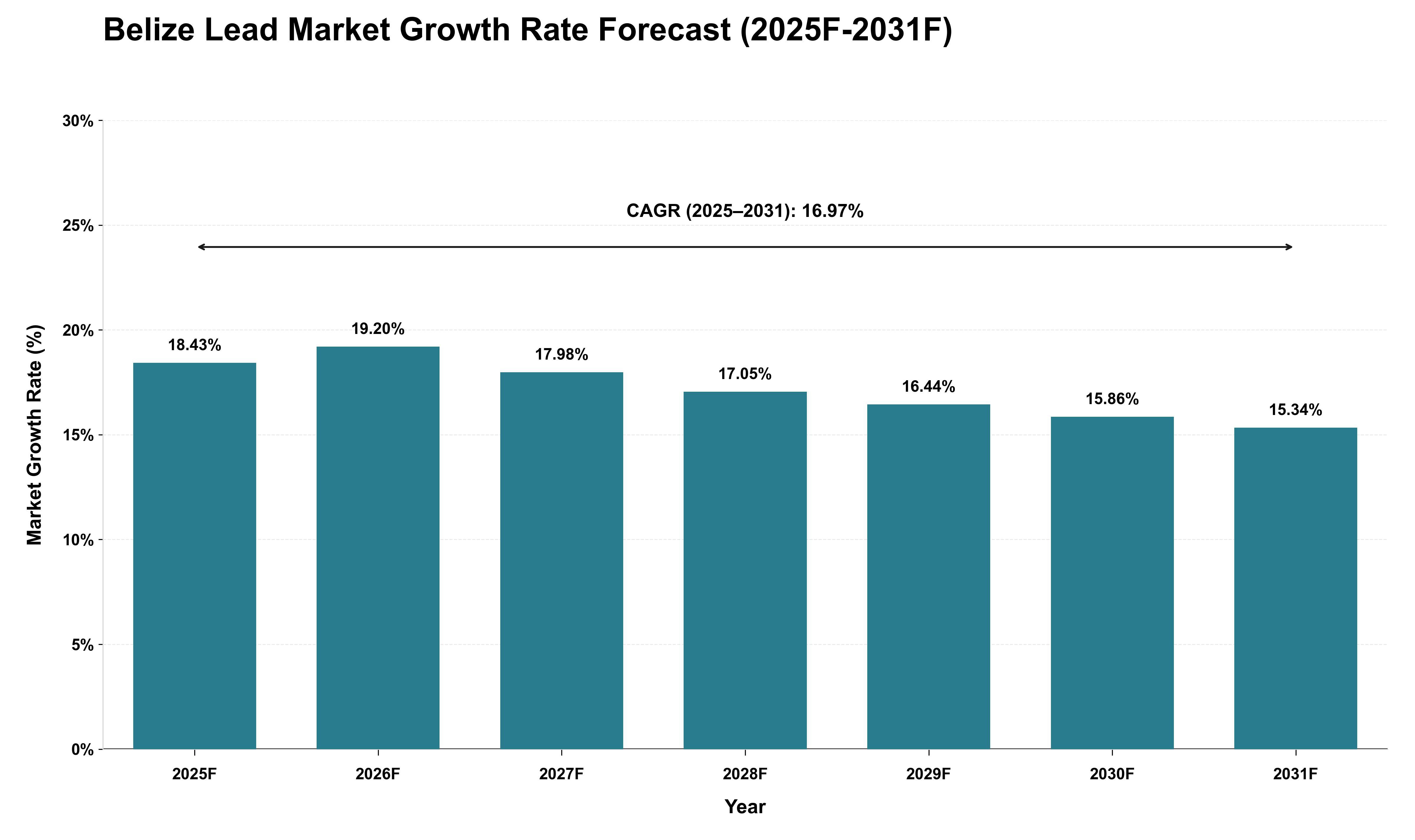 Belize Lead Market Growth Rate Analysis (2025 - 2031)