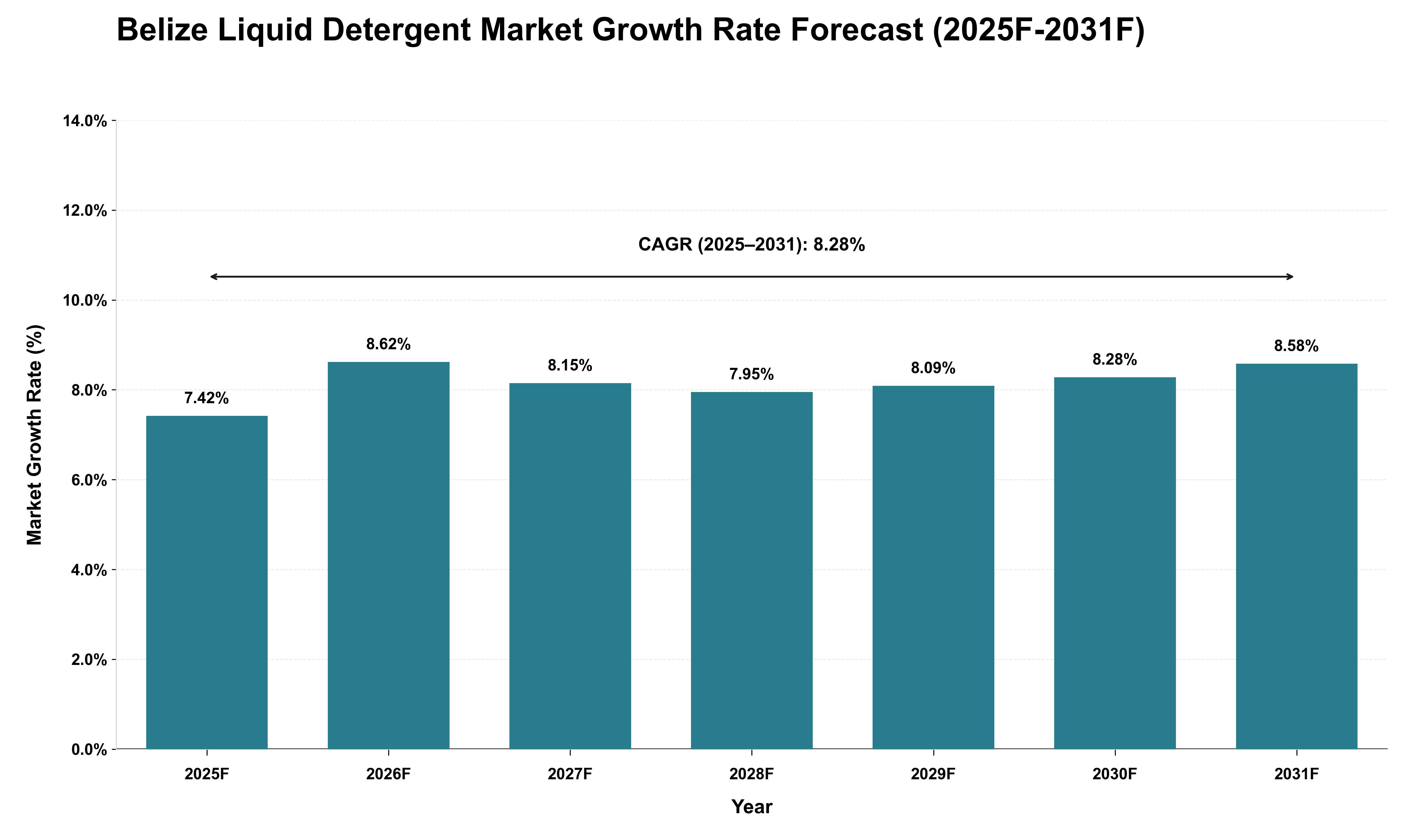 Belize Liquid Detergent Market Growth Rate Analysis (2025 - 2031)