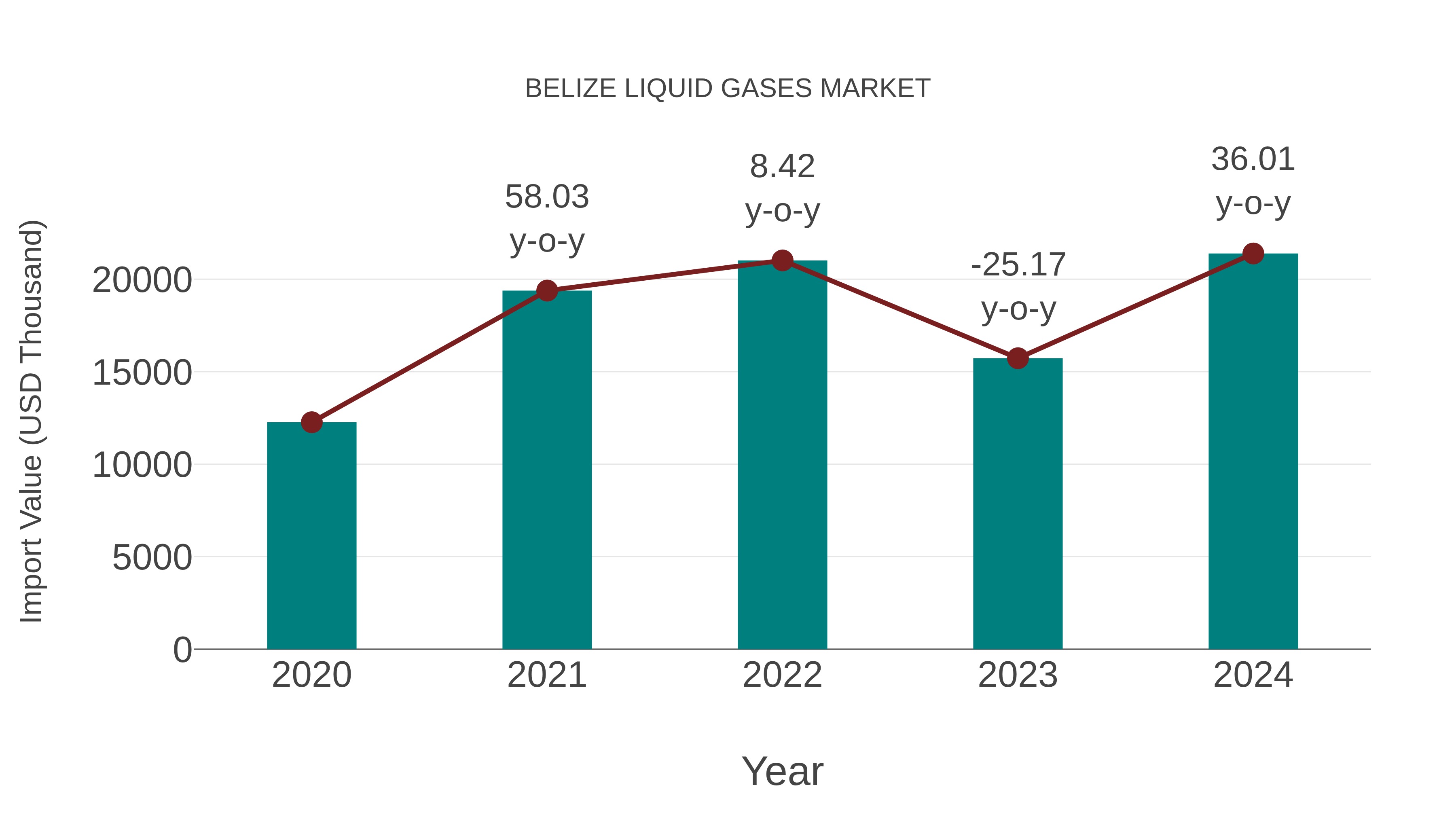 Belize Liquid Gases Market: Import Trend Analysis