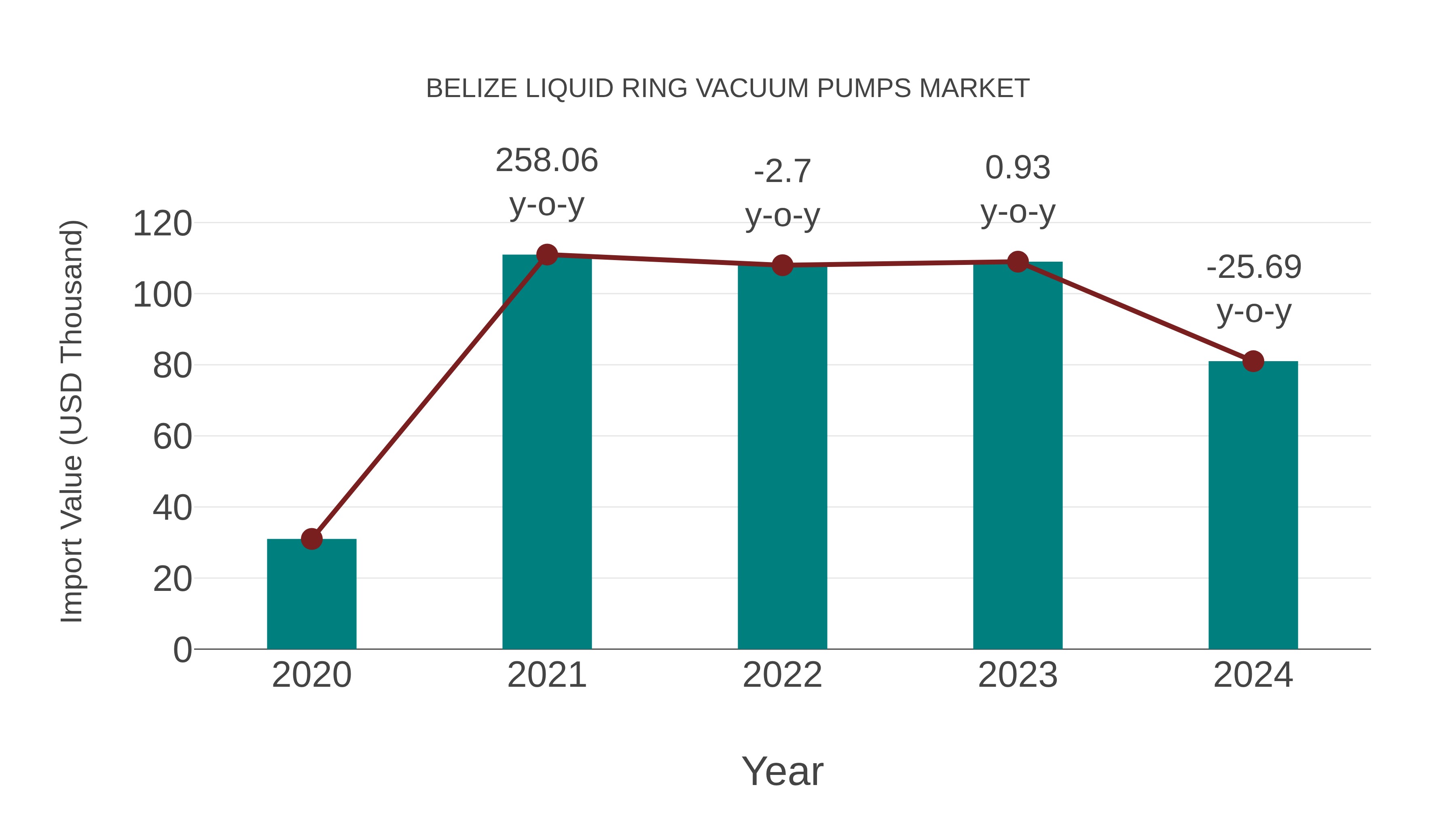 Belize Liquid Ring Vacuum Pumps Market: Import Trend Analysis