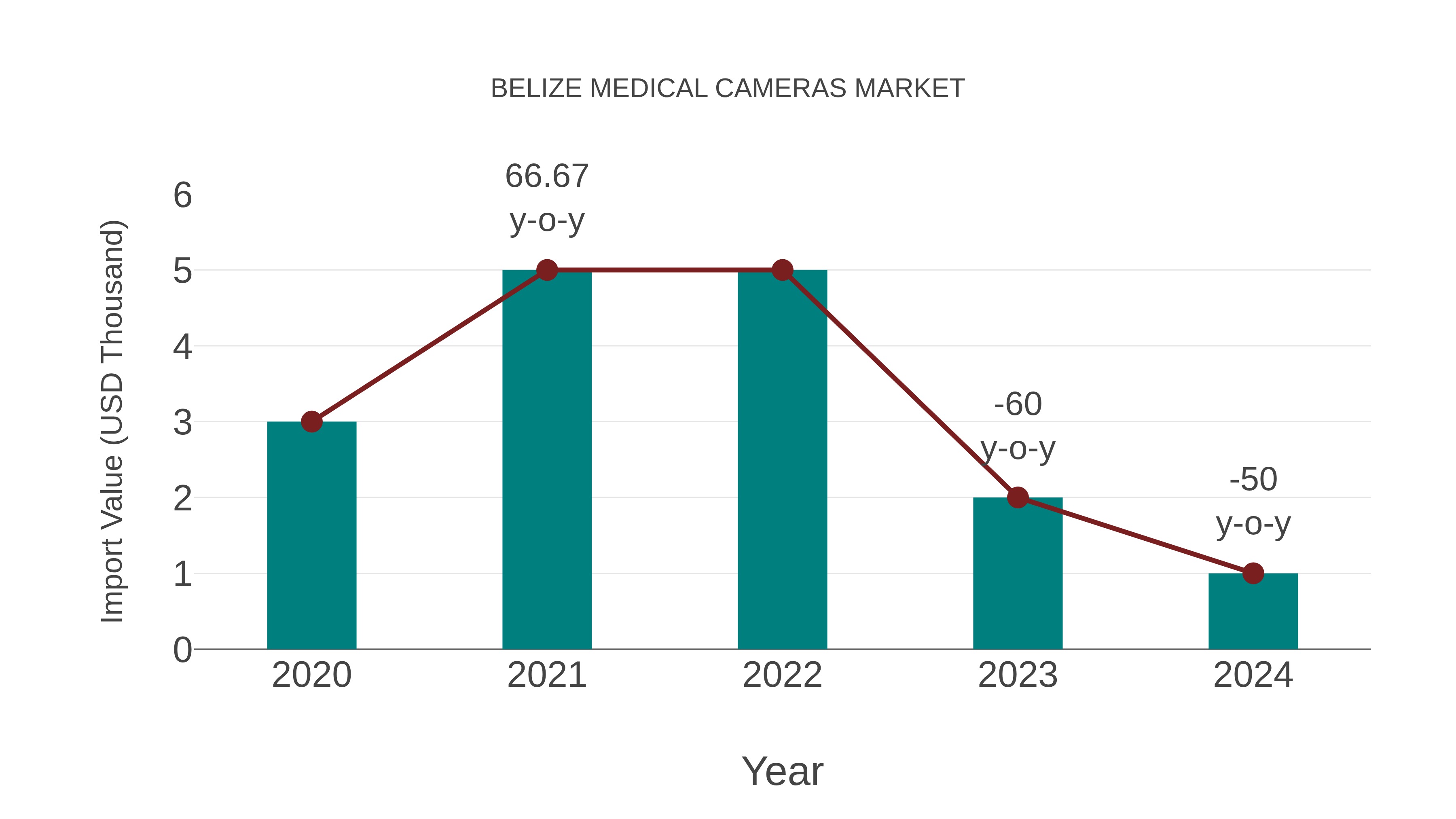  Belize Medical Cameras Market: Import Trend Analysis
