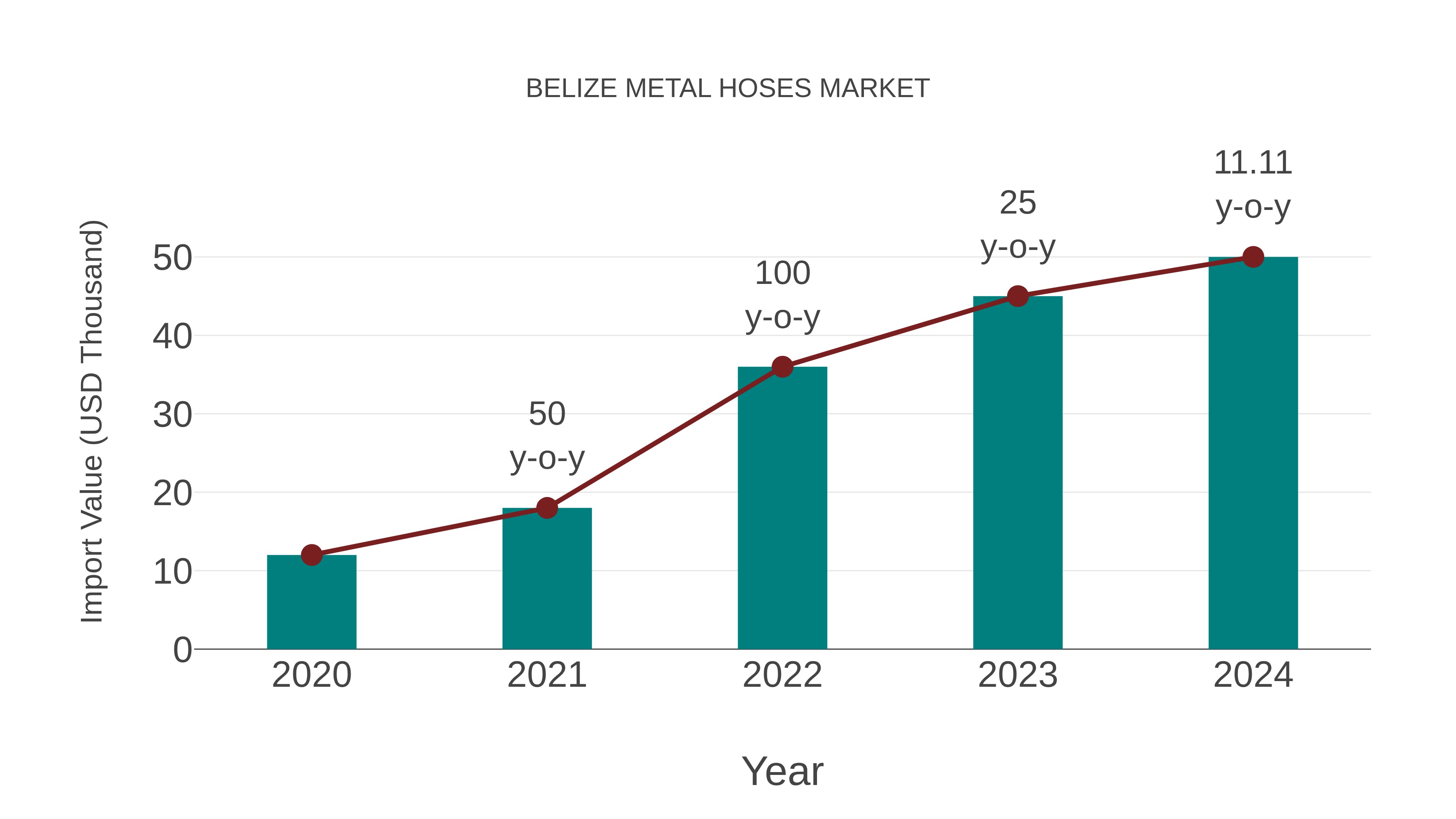 Belize Metal Hoses Market: Import Trend Analysis