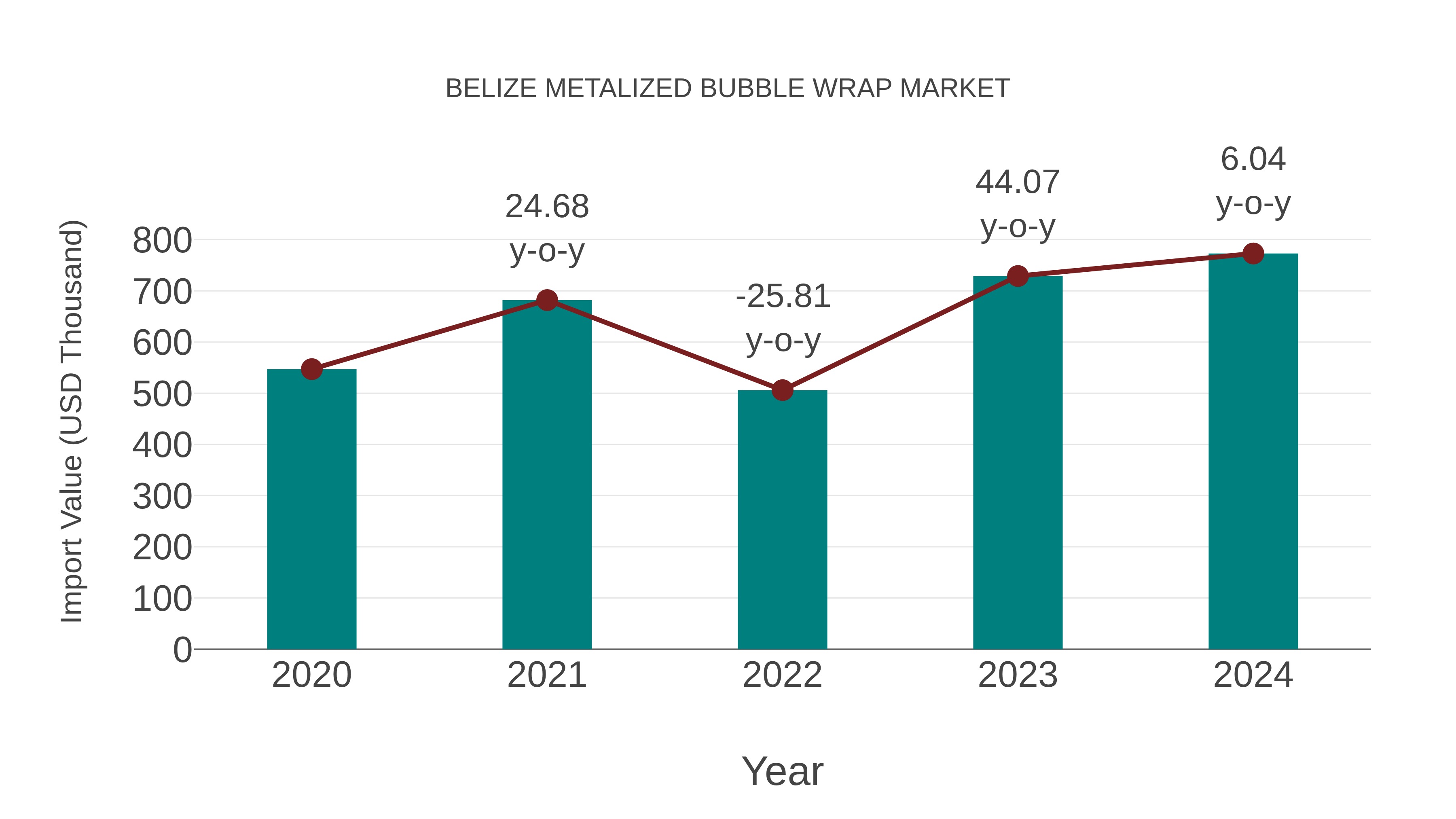  Belize Metalized Bubble Wrap Market: Import Trend Analysis