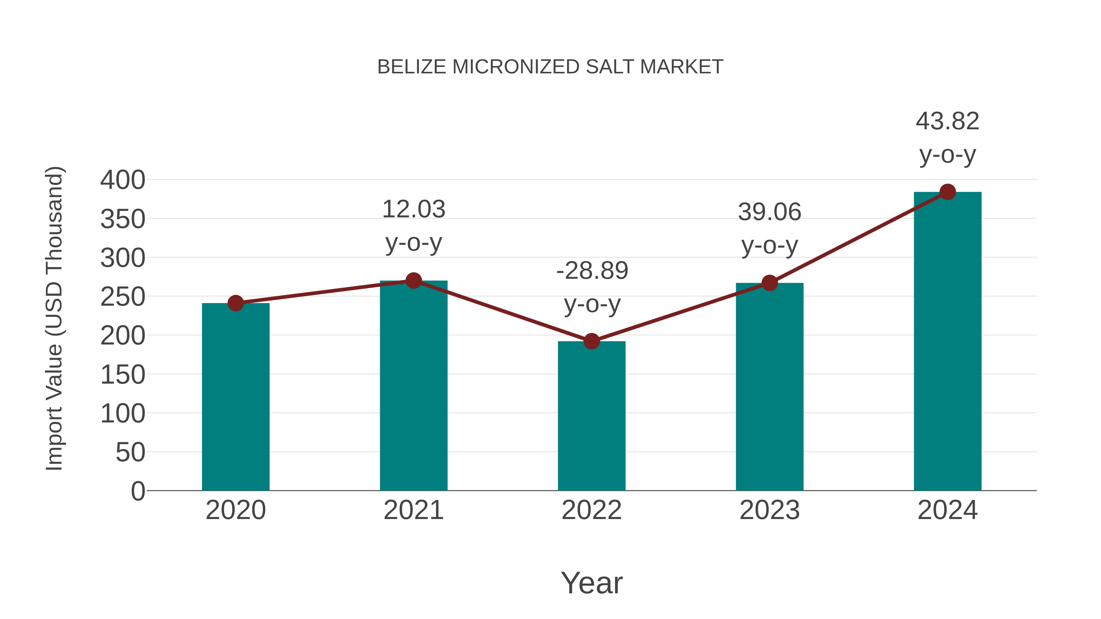  Belize Micronized Salt Market: Import Trend Analysis