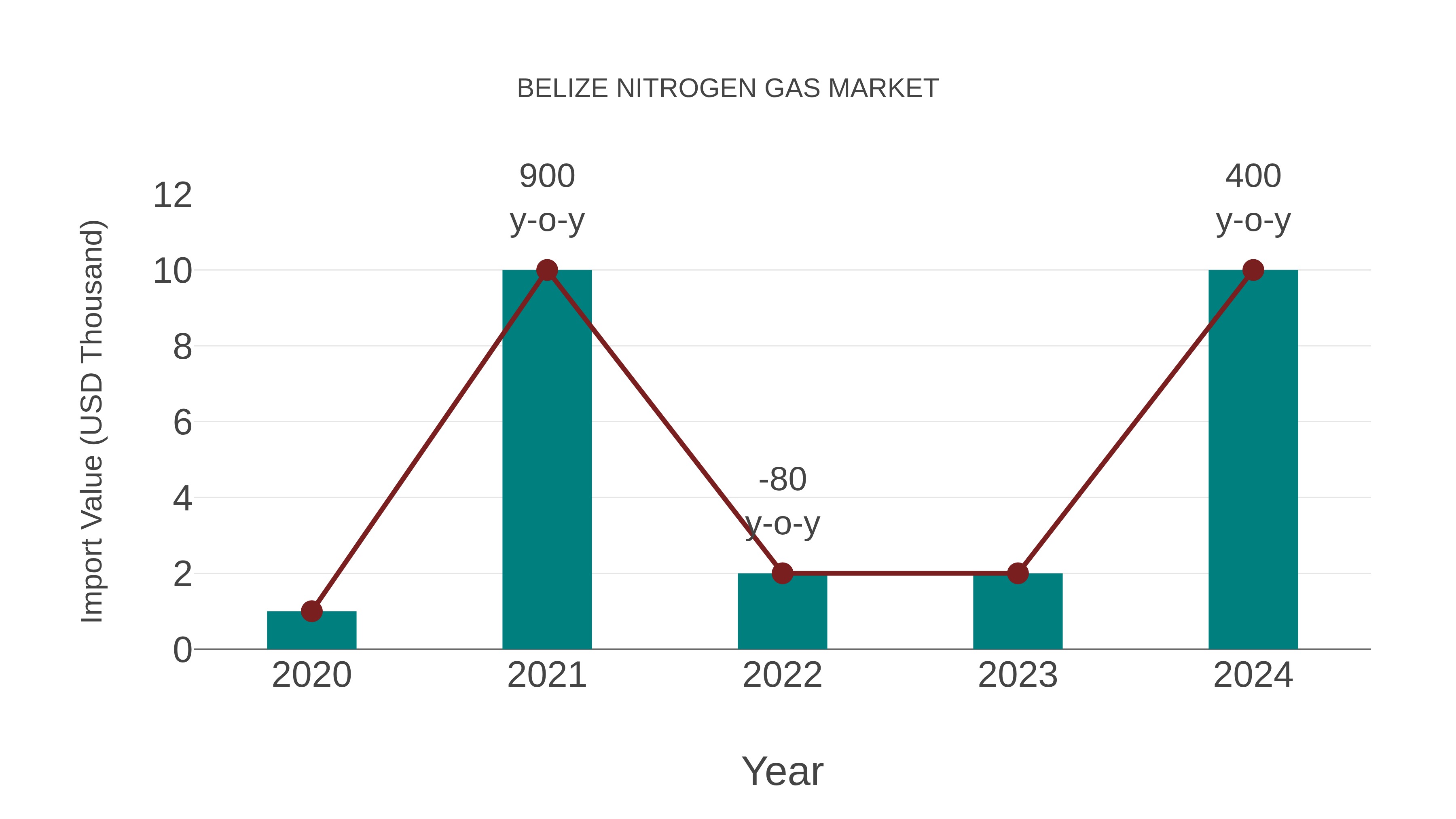  Belize Nitrogen Gas Market: Import Trend Analysis