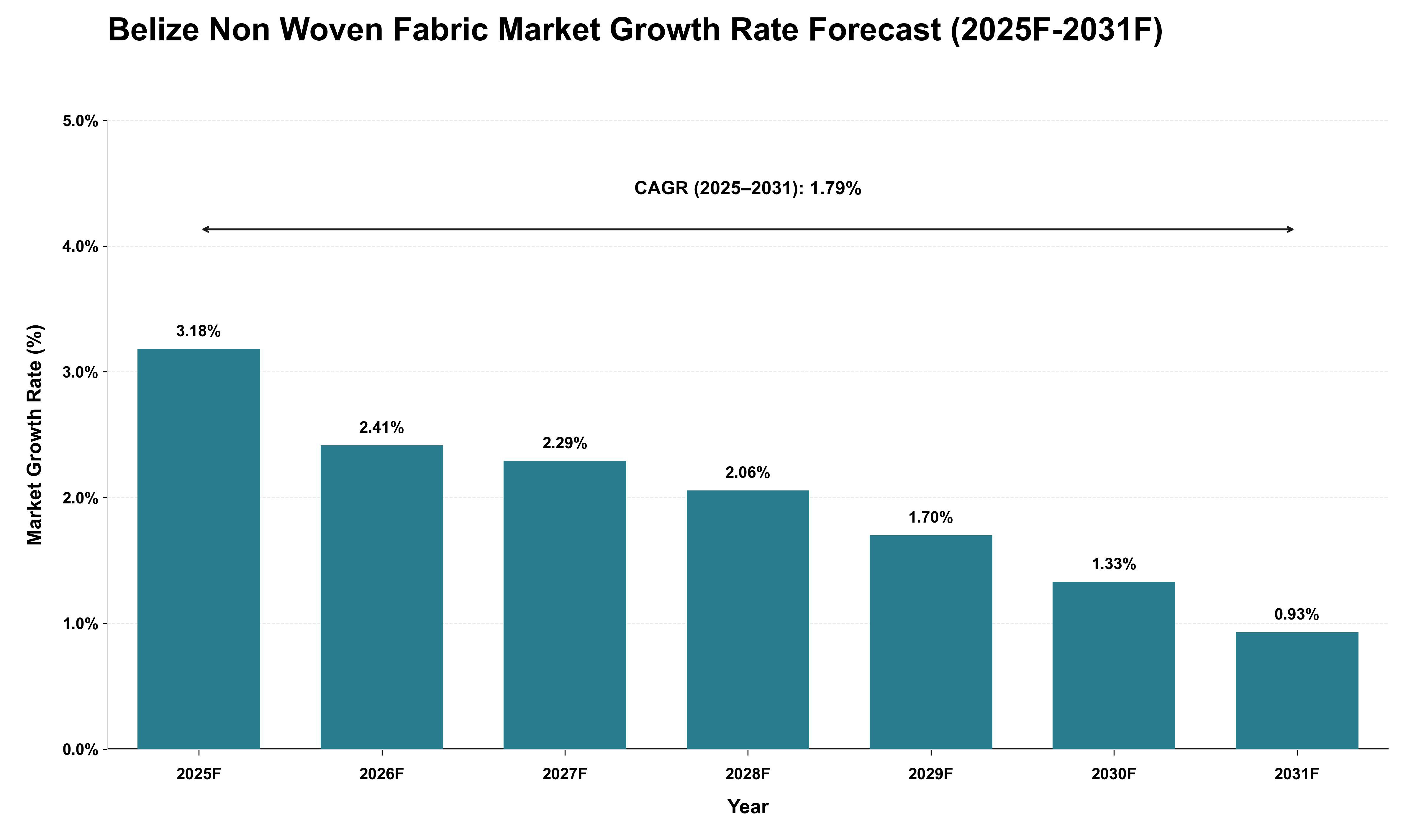 Belize Non Woven Fabric Market Growth Rate Analysis (2025 - 2031)